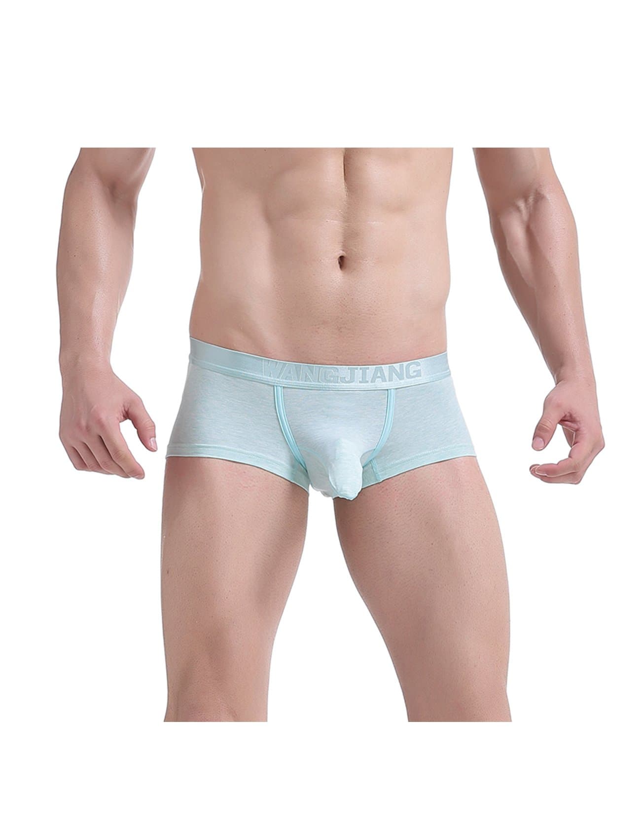 Jueshanzj Mens Boxers Briefs Elephant Trunk Cotton Underwear