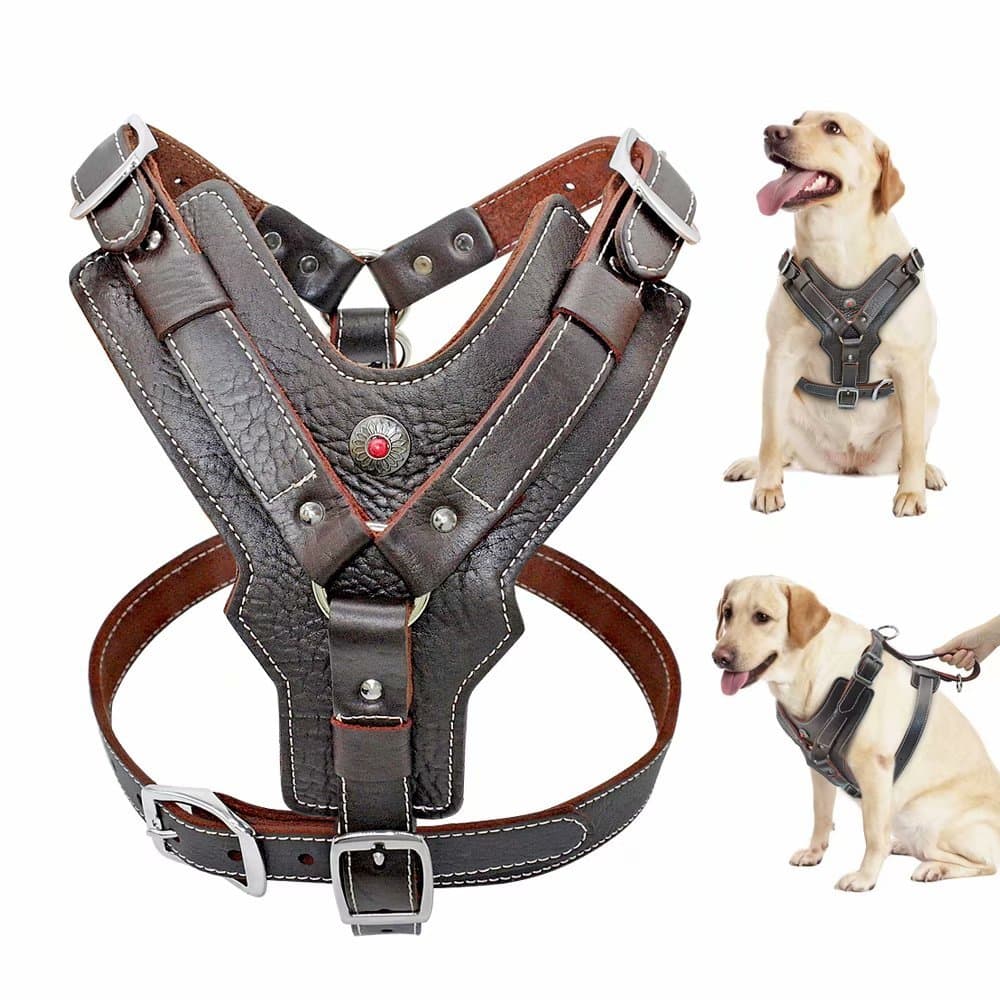PET ARTIST Durable Leather Dog Harness for Medium Dogs，Adjustable Comfortable Design with Strong Metal Buckles and Handle for Daily Walking for Bulldog/Dalmatian/Schnauzer