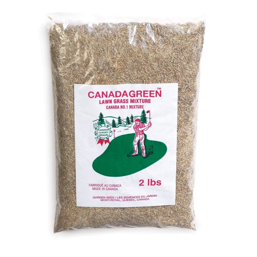 Grass Lawn Seed - Grows Healthy Rich Green Grass Lawn Seed Plants Yard Garden 2 Pound Bag