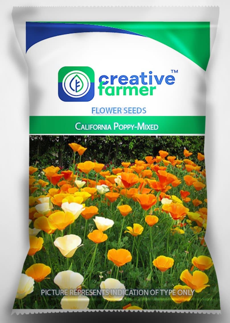 Creative Farmer Flower Seeds For Containers- California Poppy-Mixed Flower Seeds for Gardening - 1 Packet