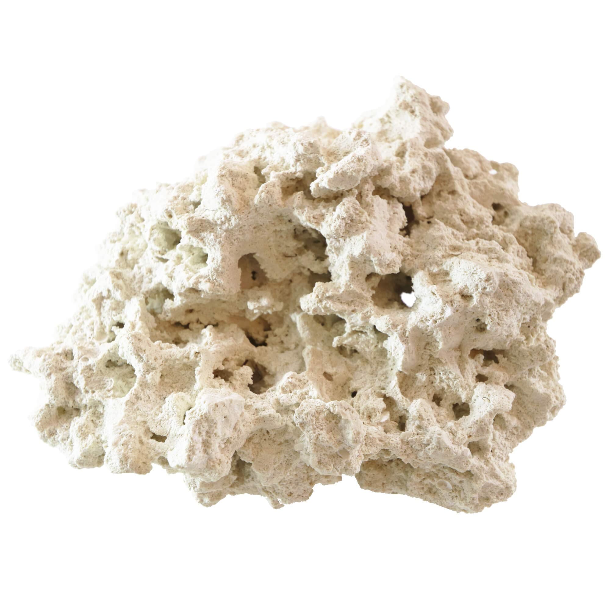 Dry Base Rock with Coralline Algae Spores for Seeding Saltwater Aquariums, 45 lbs.