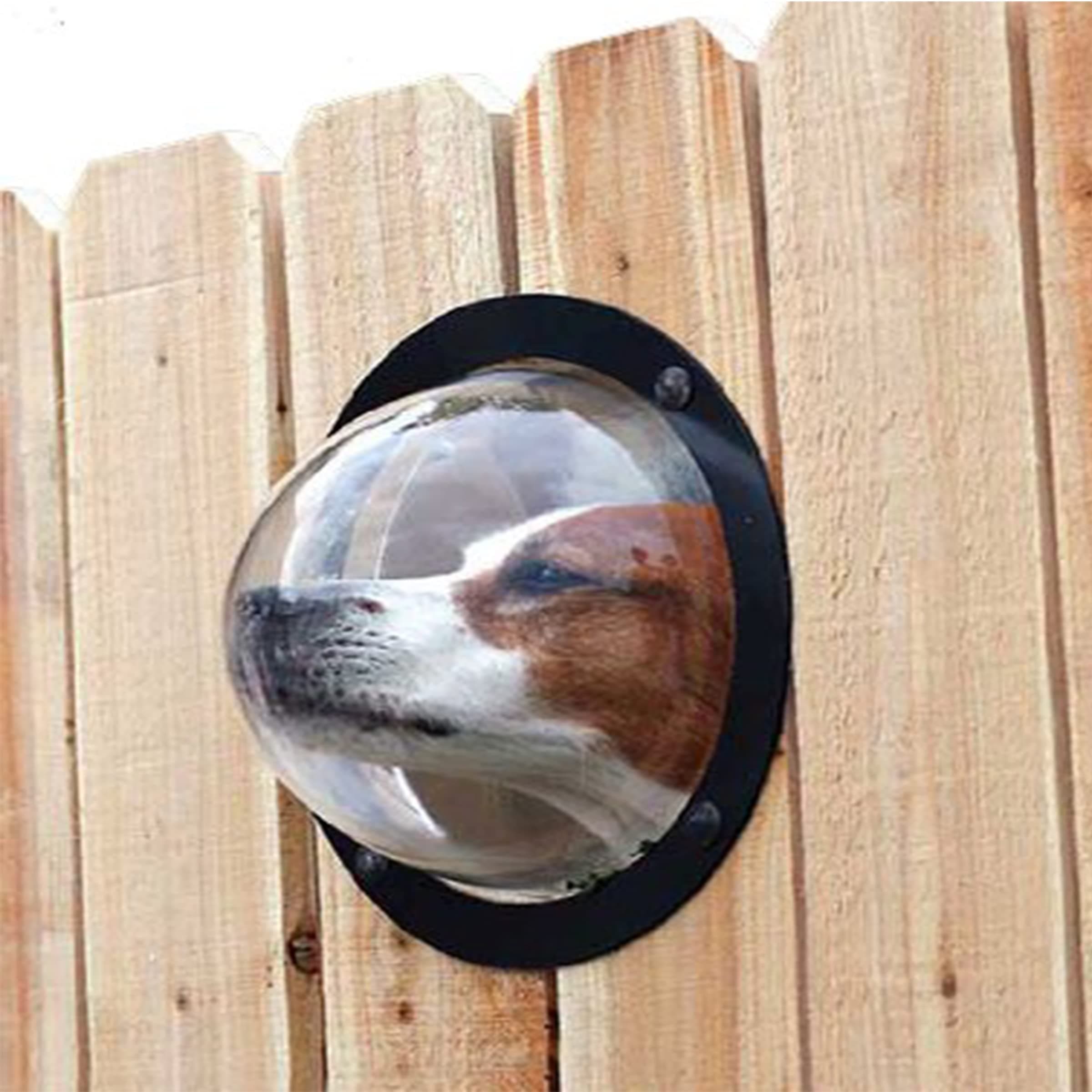MEKBOK 1 Pack Dog Fence Window, 9.5 Inch Acrylic Dome Clear Dome Pet Window Bubble Window Playground Puppy Fence Window