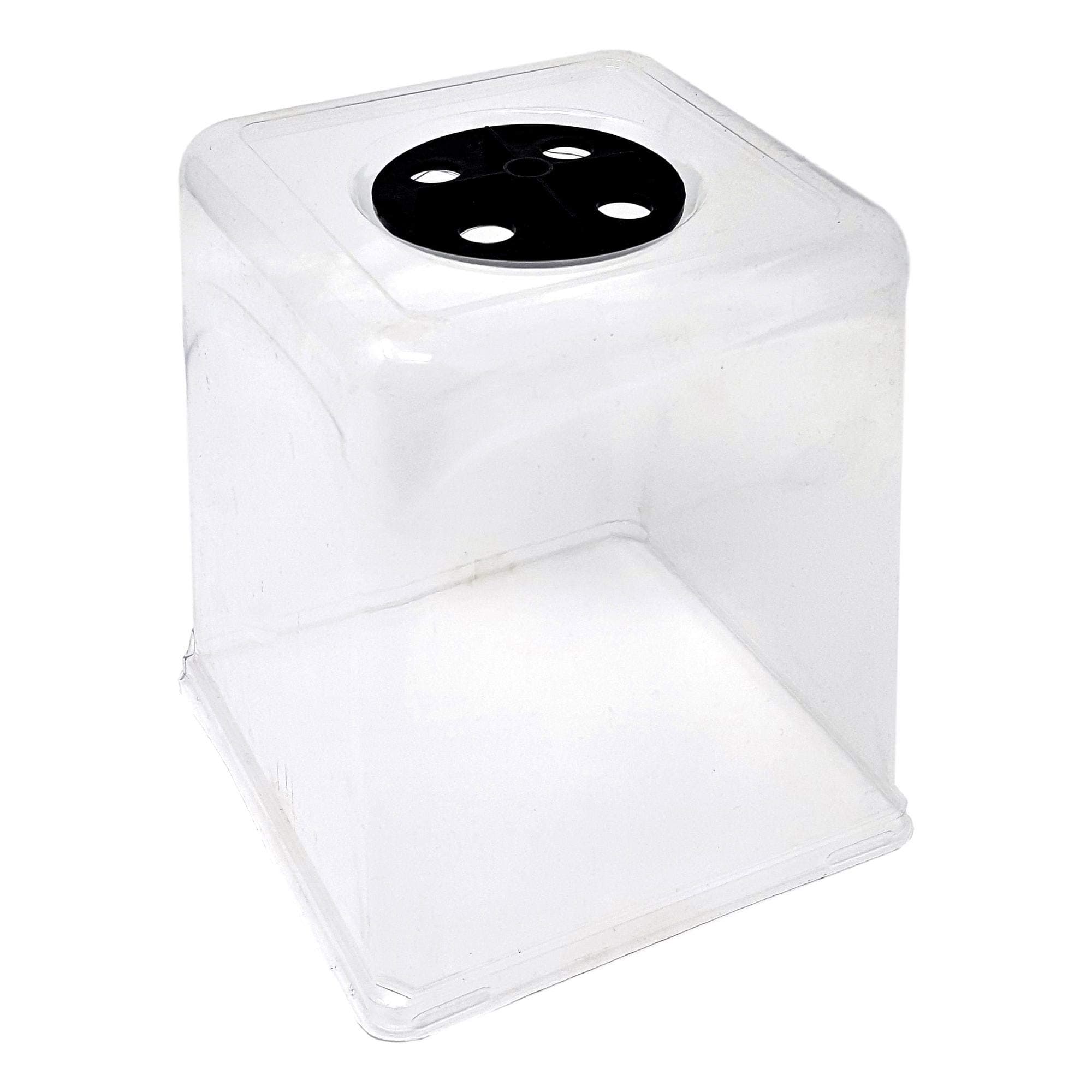 5x5 Humidity Dome 5.5" Tall - 40-Pack - Microgreens, Propagation Seed Starter Lid, Seed Starting Germination Dome