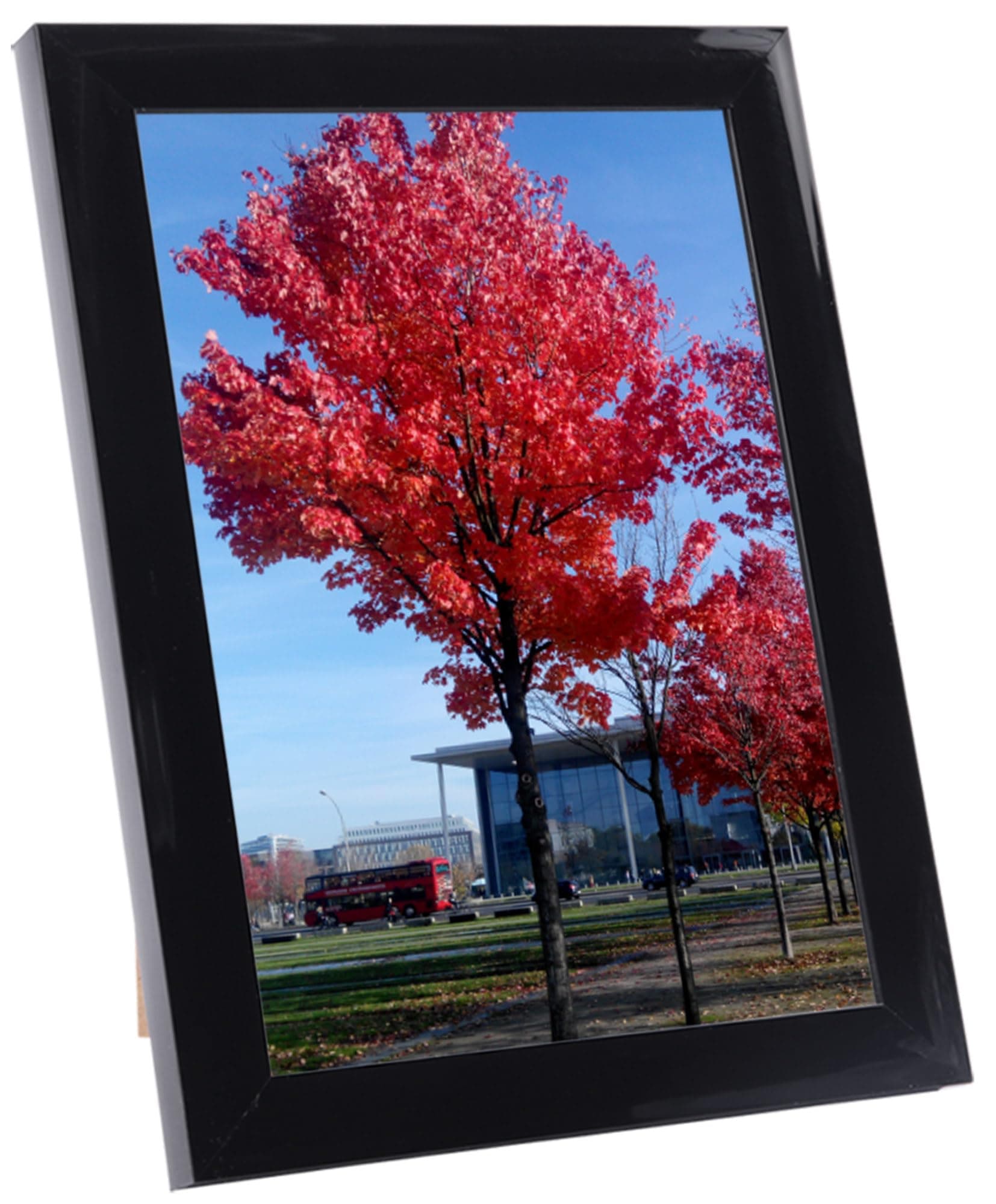 Medog 5x7 inch Picture Frame Black, Display Pictures 5x7 Document Certificate Frame, Wall Hanging Photo Frame, 1 Pack