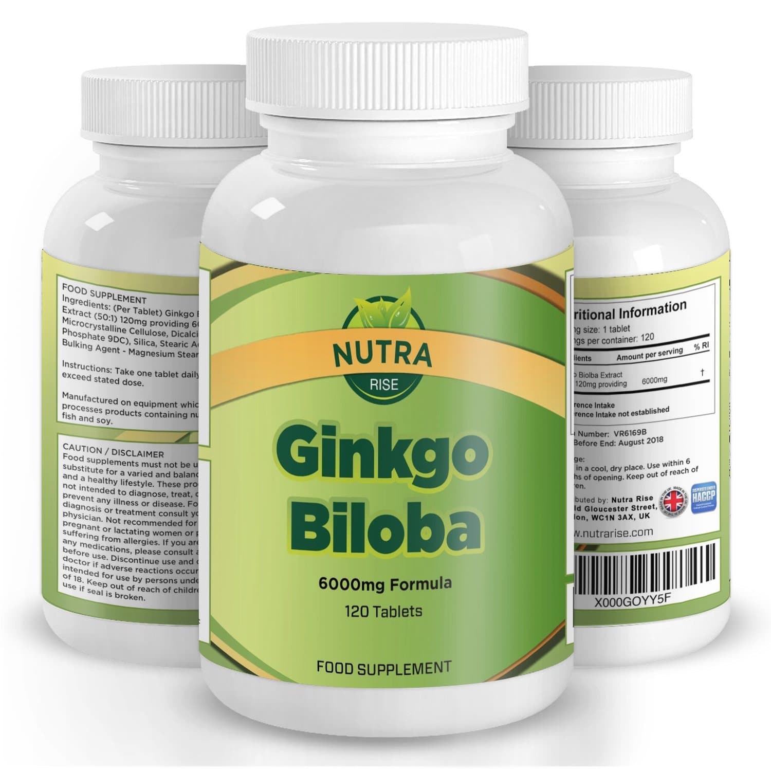 Ginkgo Biloba Tablets 6000mg, High Strength Gingko Biloba Extract, 120 Tablets by Nutra Rise