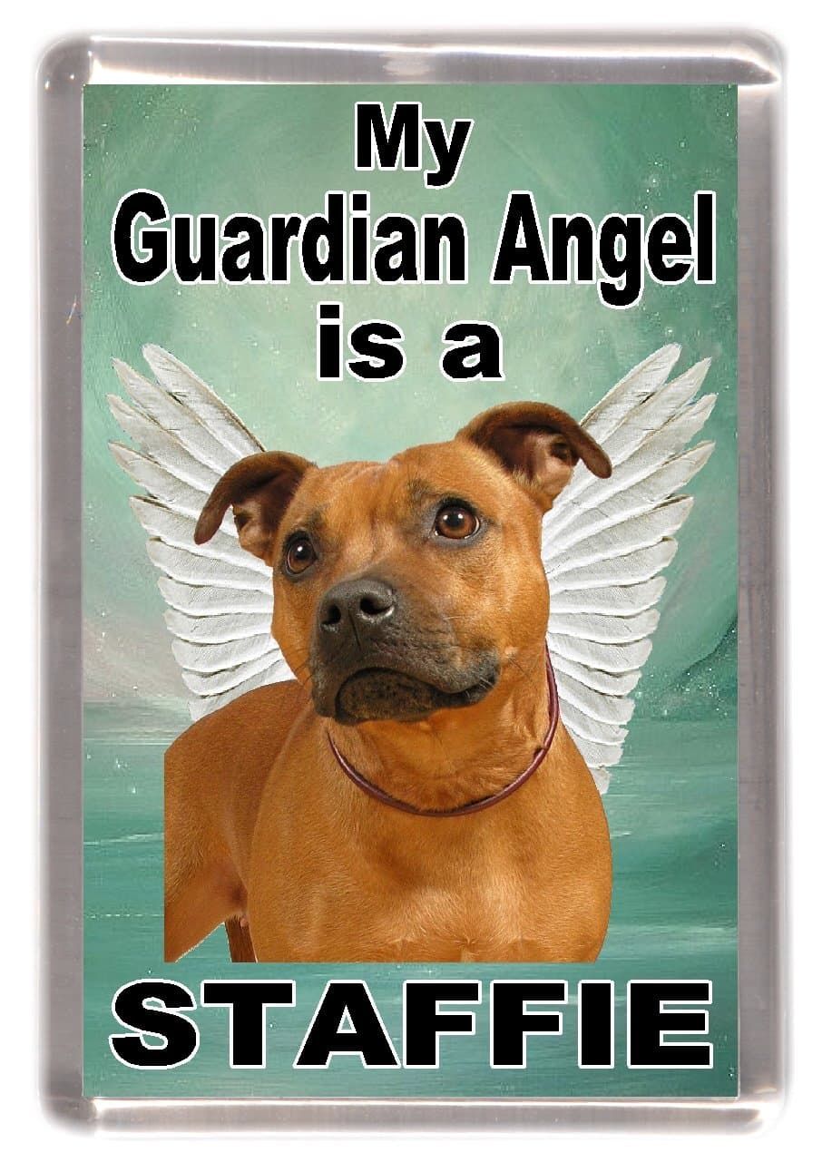 Staffordshire Bull Terrier/Red Staffie Dog Fridge Magnet "My Guardian Angel is a Staffie"