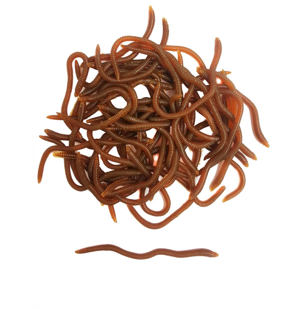 1.6in/3.3/3.9in Fishing Soft Lure Trout Worm Earthworm Bait Lifelike Fake Bloodworm Grub Worm Soft Fishing Lure Baits