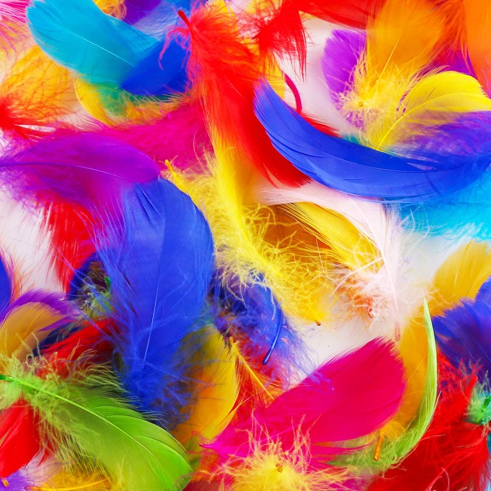 BTNOW 800 Pieces Colorful Feathers 10 Mixed Colors Craft Goose Feathers for DIY Wedding Birthday Party Decorations Accessories