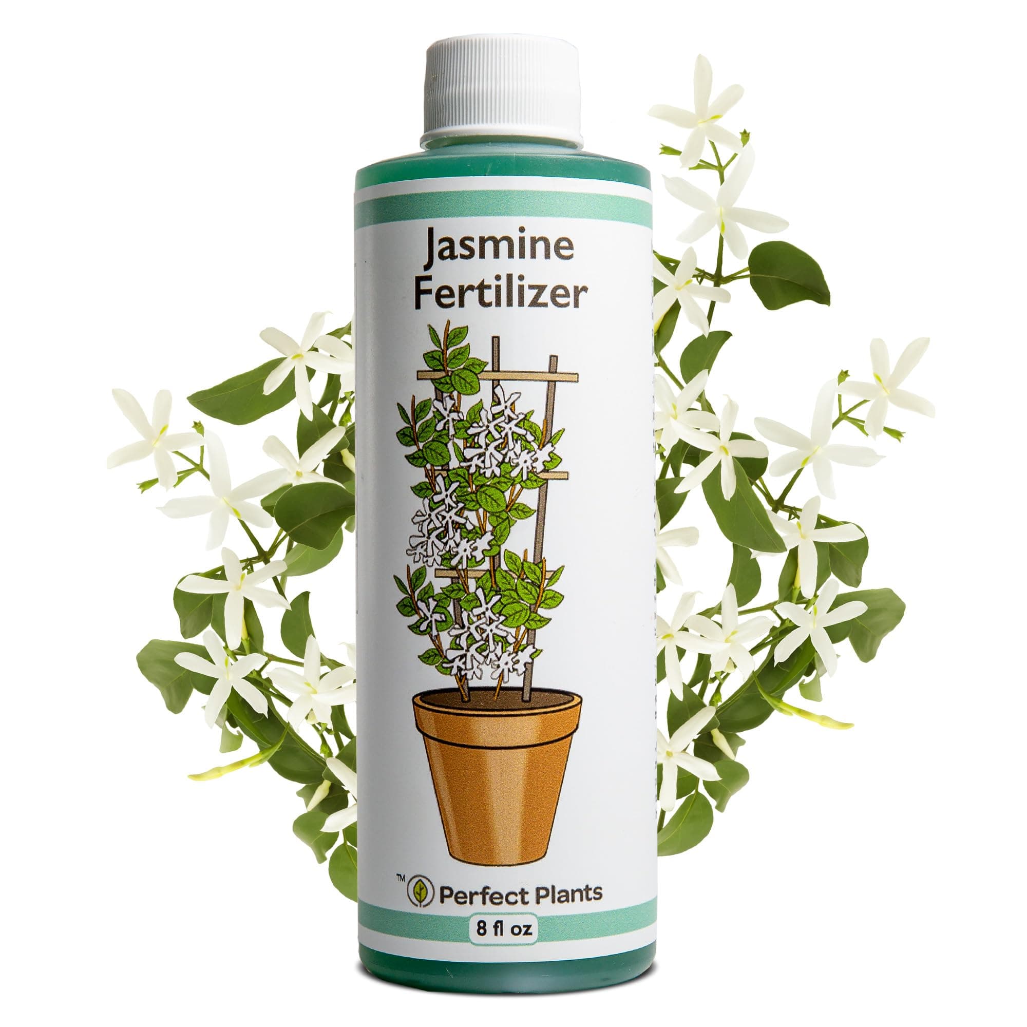 Perfect Plants Liquid Jasmine Fertilizer | 8oz. of Premium Concentrated Indoor Outdoor Jasmine Food | Use with Aromatic and Flowering Jasminum | Bloom Booster