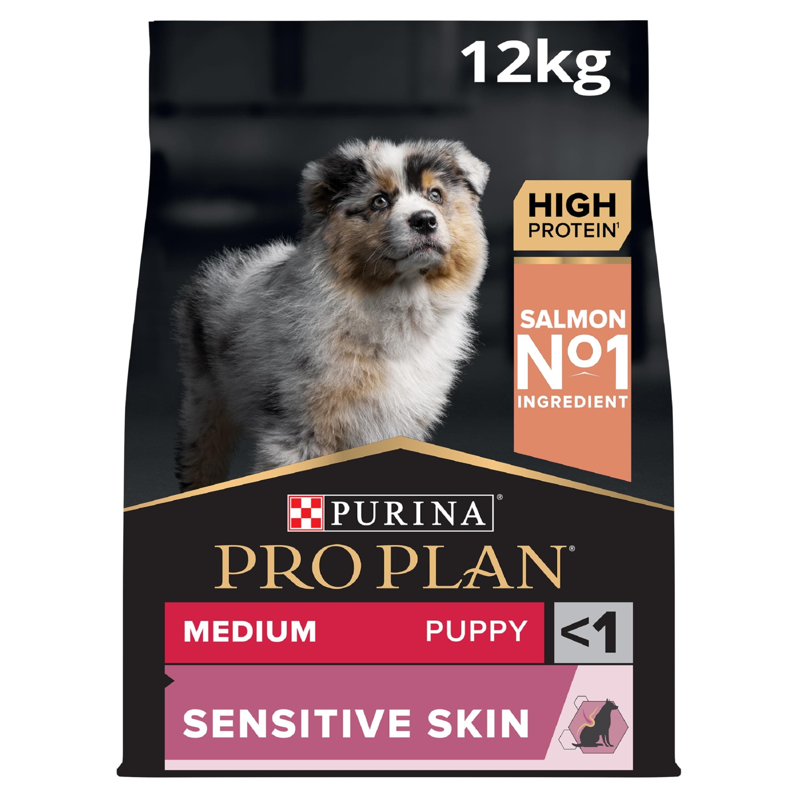 Medium Puppy Sensitive Skin Dry Dog Food with Salmon 12kg