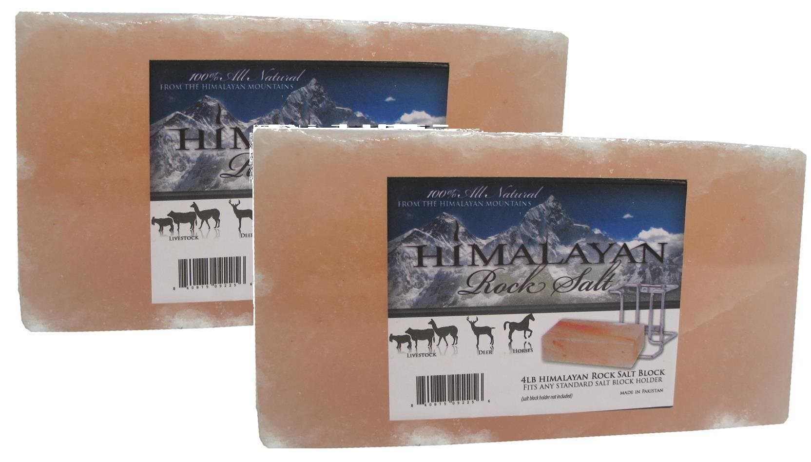 Talisker Bay Himalayan Salt Brick (8 Pounds)