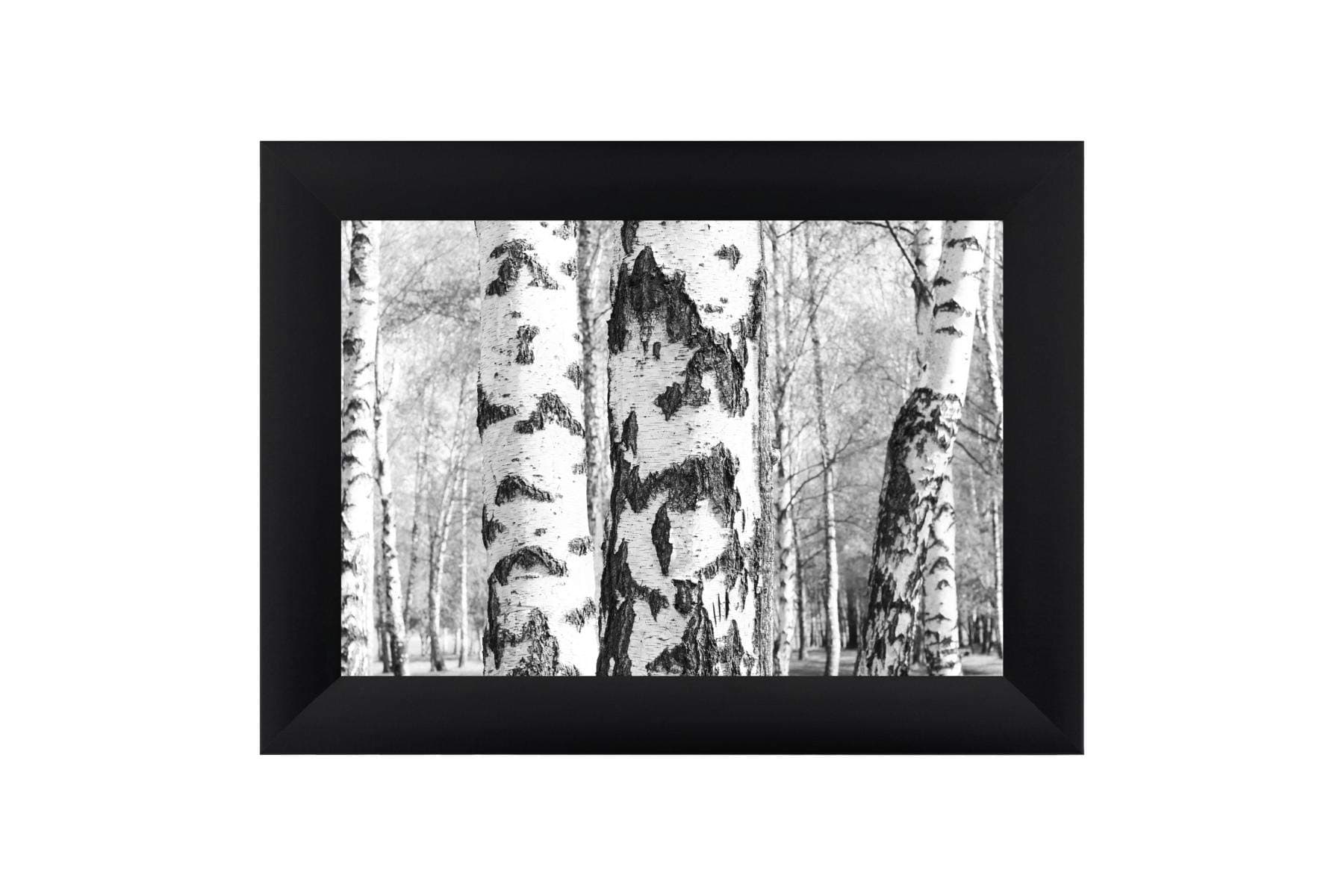 EUROLine50 photo picture frame for 37 cm x 18 cm pictures, color: Black Matt, made to measure MDF frame incl. AR coated acrylic glass and MDF back panel, frame width: 50 mm, outer dimensions: 45,6 cm x 26,6 cm