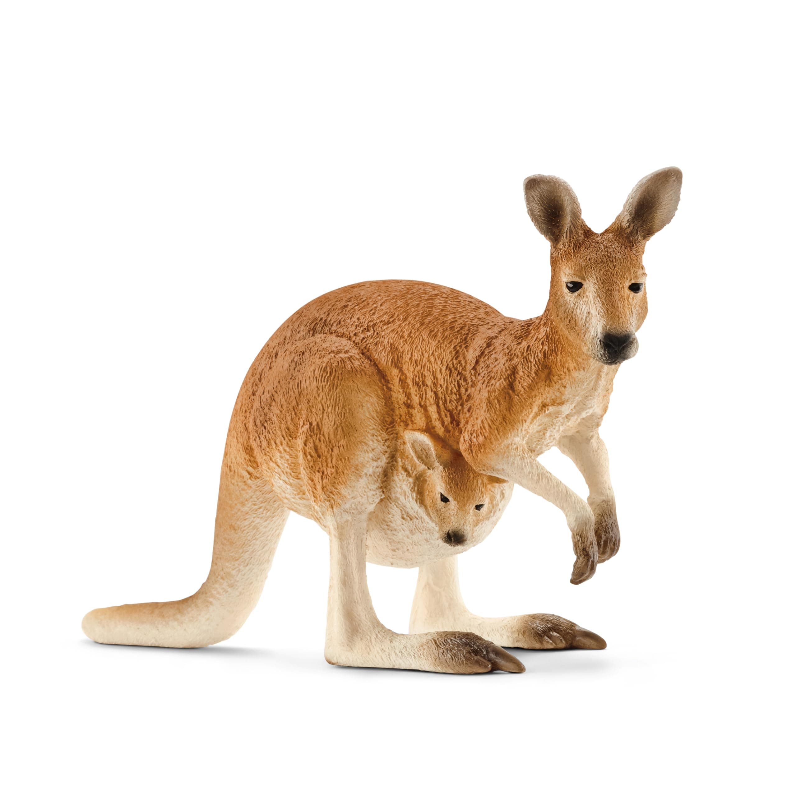Wild Life Kangaroo Animal Figurine - Detailed Wild Animal Kangaroo Toy Figure, Durable for Education and Fun Play, Perfect for Boys and Girls, Gift for Kids Ages 3+
