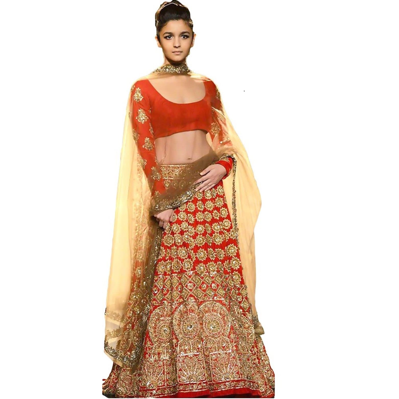 Lavri Women's Net Lehenga Choli (Manva) Free Size Multi-Coloured