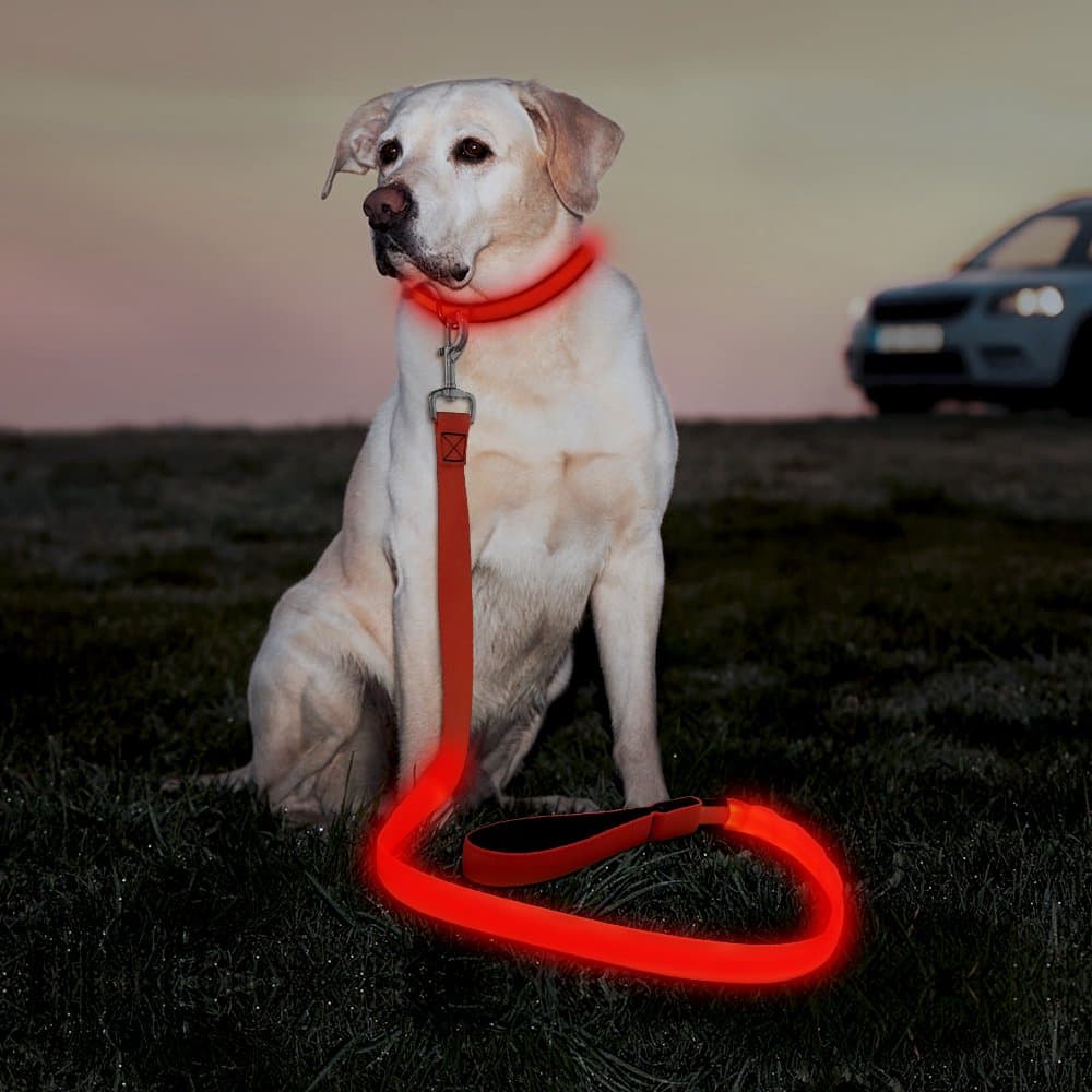 Illumifun LED Dog Leash, USB Rechargeable Light Up Dog Lead, 47.2inch Nylon Glowing Pet Leash for Your Night Dog Walking (RedⅠ)