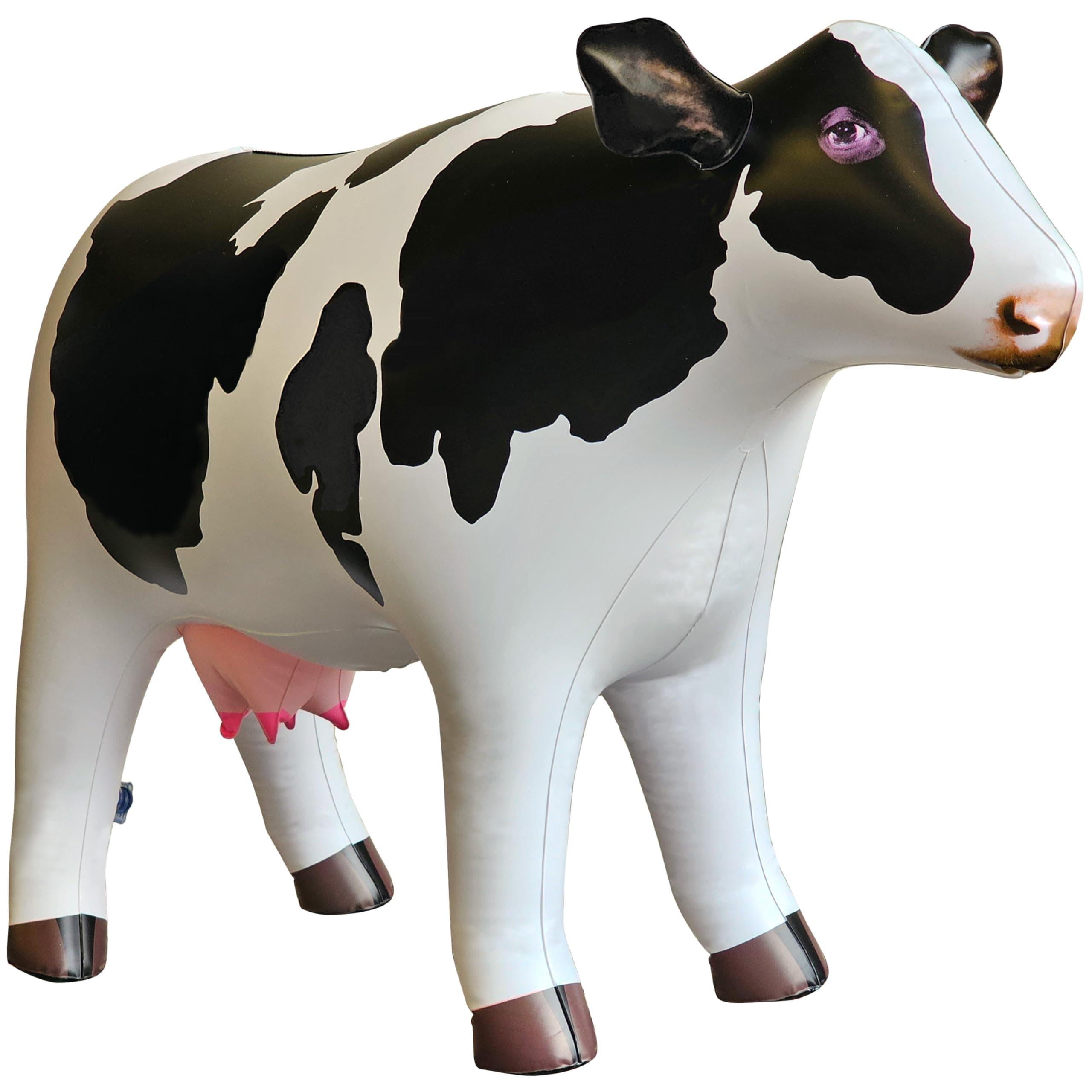 Jet Creations Cow Inflatable Animal Baby 37 inch Long Great for Pool Party Decoration, Birthday Kids and Adult an-Cow
