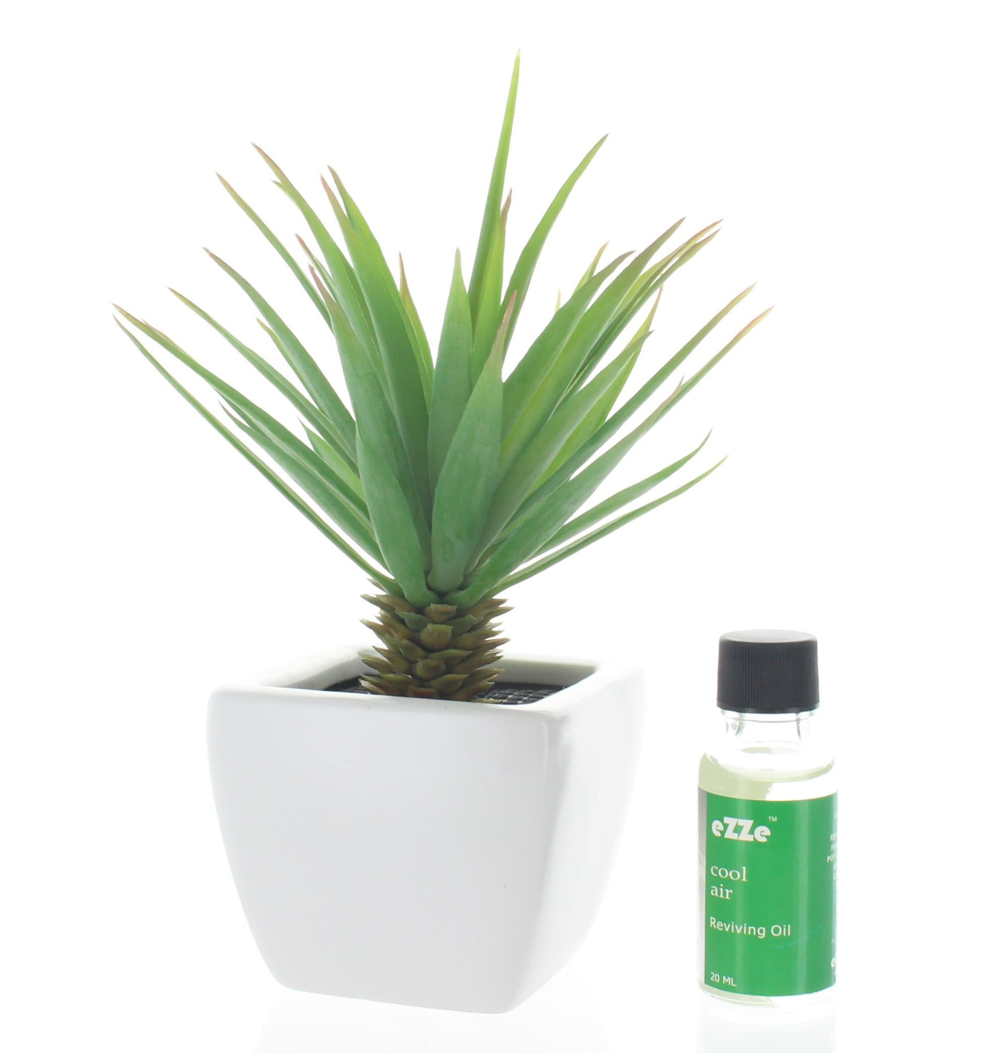 Cactus Collection Artificial plat Pot Style Scented Charcoal Diffuser with Reviving Diffuser Oil Air Refresher Aromatic & Deodorizing (Cool air)
