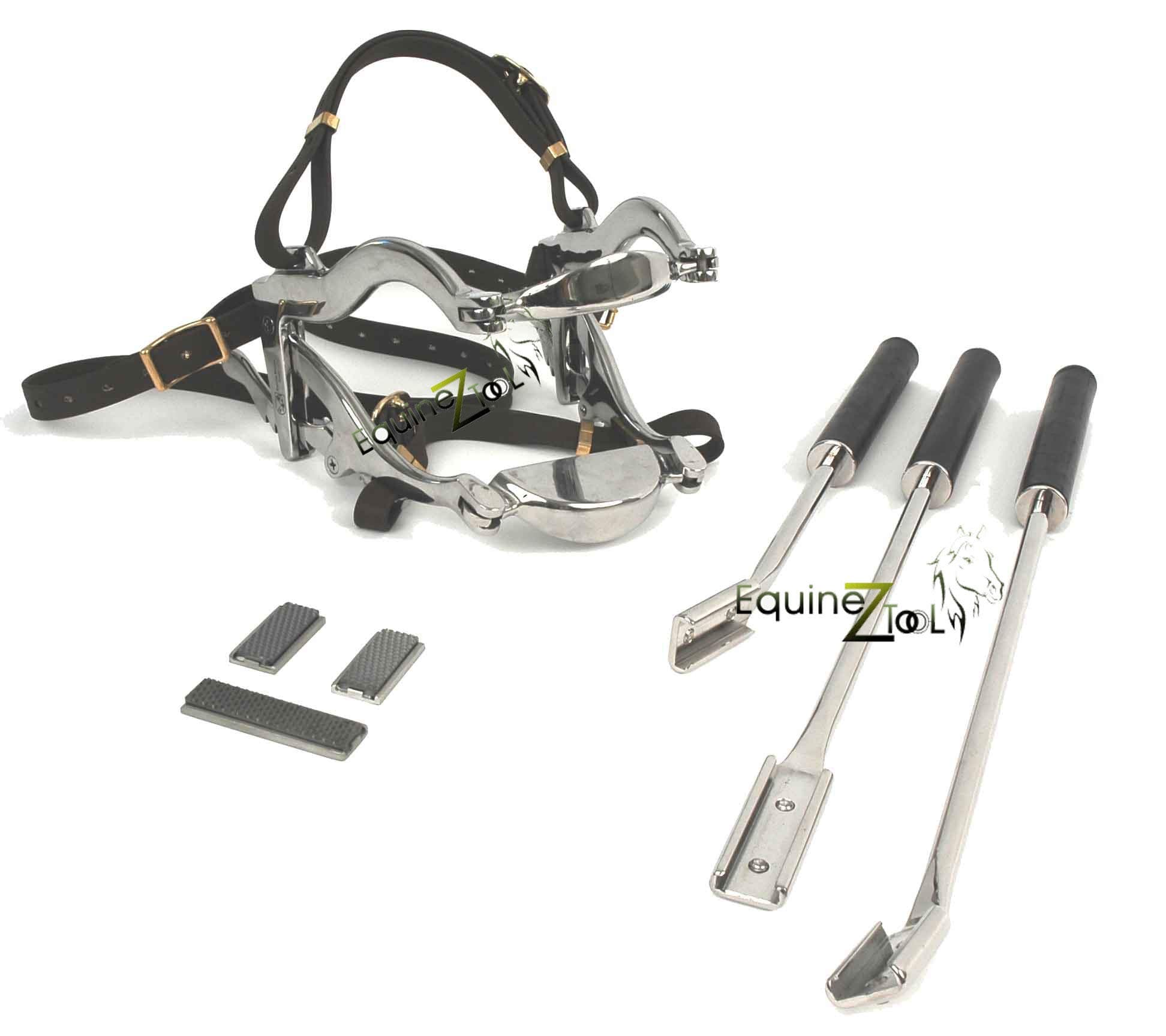 Equine Dental Kit 4000 Series–Horse Mouth Speculum Padded Leather Straps + 3 Floats with Blades–Stainless Steel Veterinary Instruments for Horse Teeth Floating,Equine Oral Care Tools Set