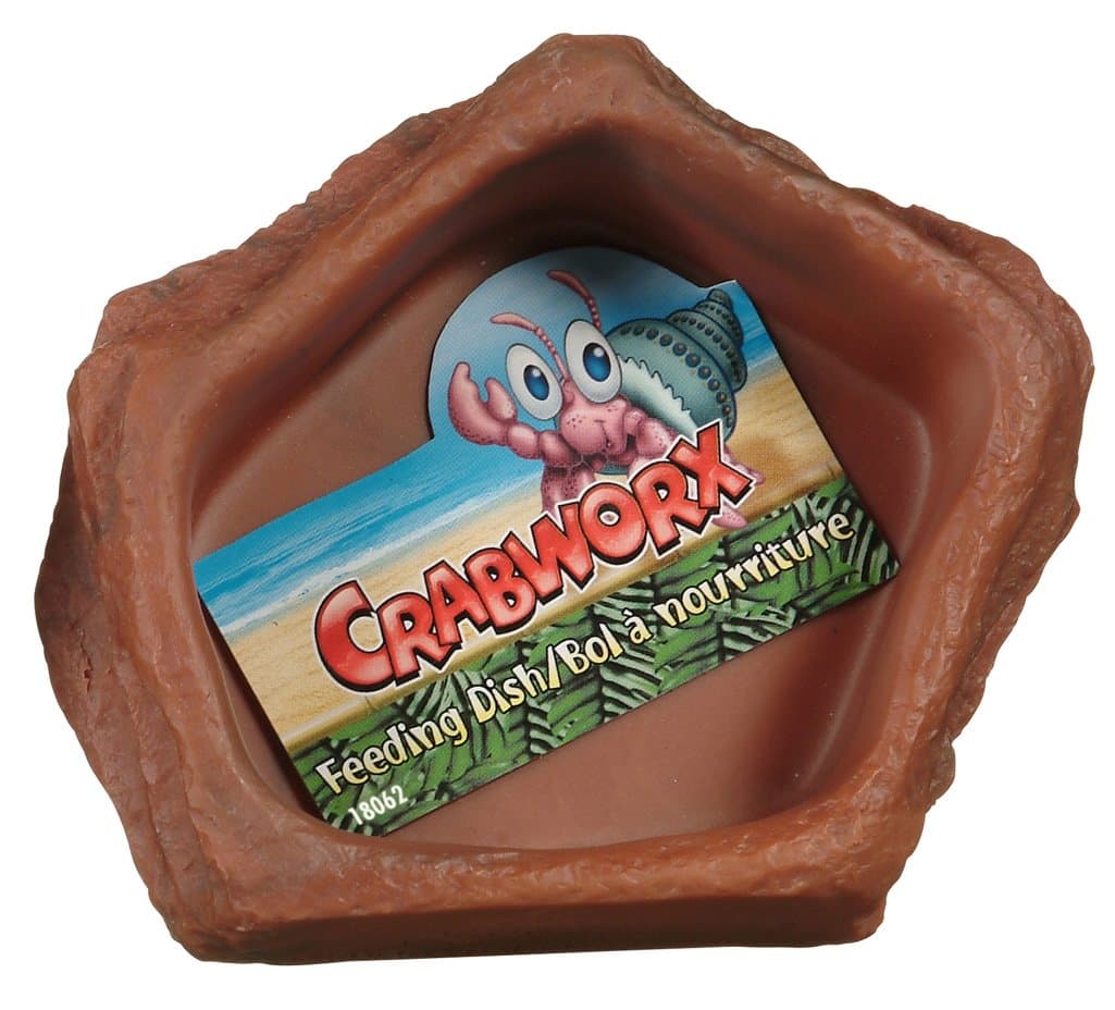 18062 Feeding Dish, 12 x 10 x 2.7 cm (4.7 x 4 x 1 in)