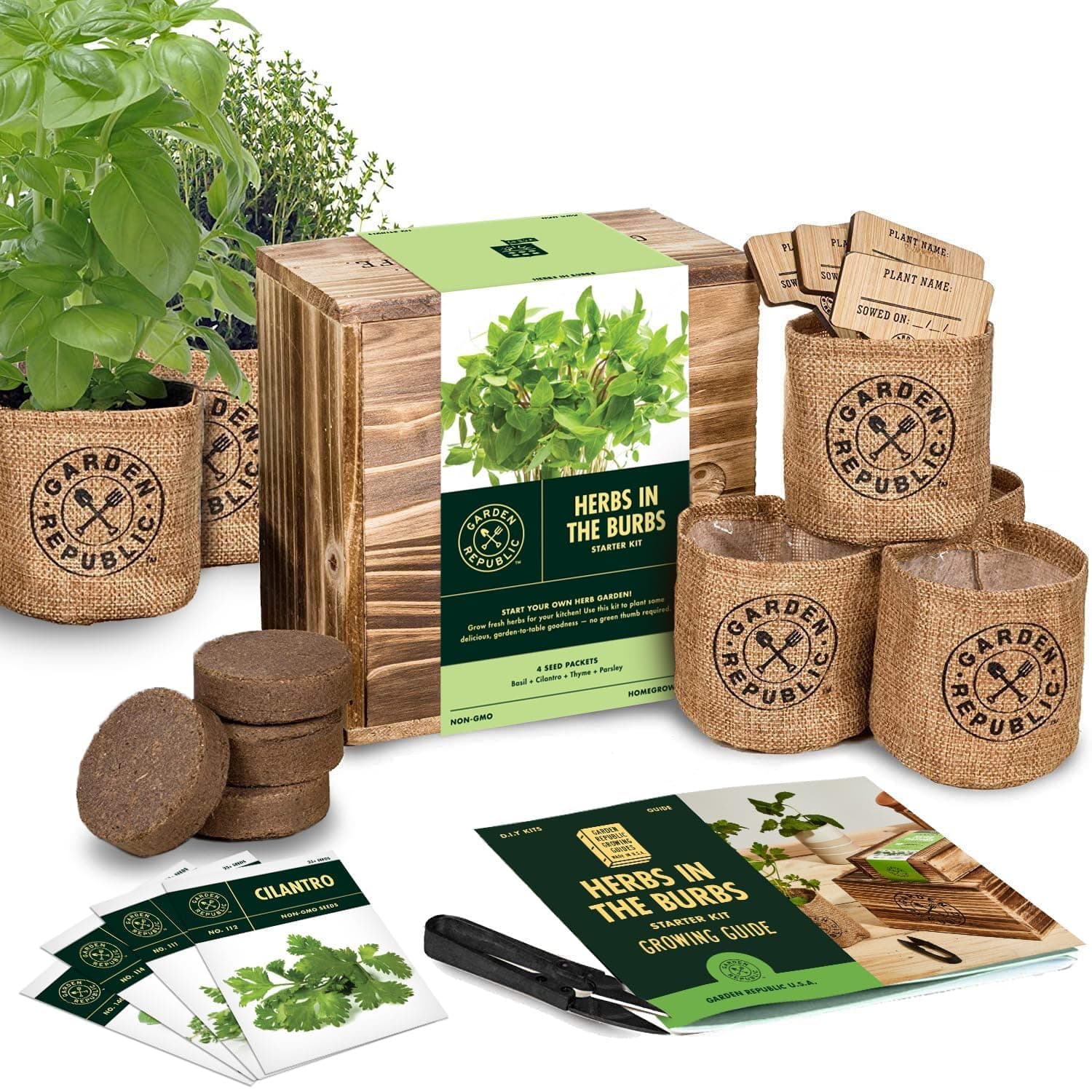 Indoor Herb Garden Starter Kit - Heirloom, Non-GMO Herb Seeds - Basil Thyme Parsley Cilantro Seed, Potting Soil, Pots, Scissors - DIY Grow Kits for Growing Herbs Indoors, Kitchen, Balcony, Window Sill