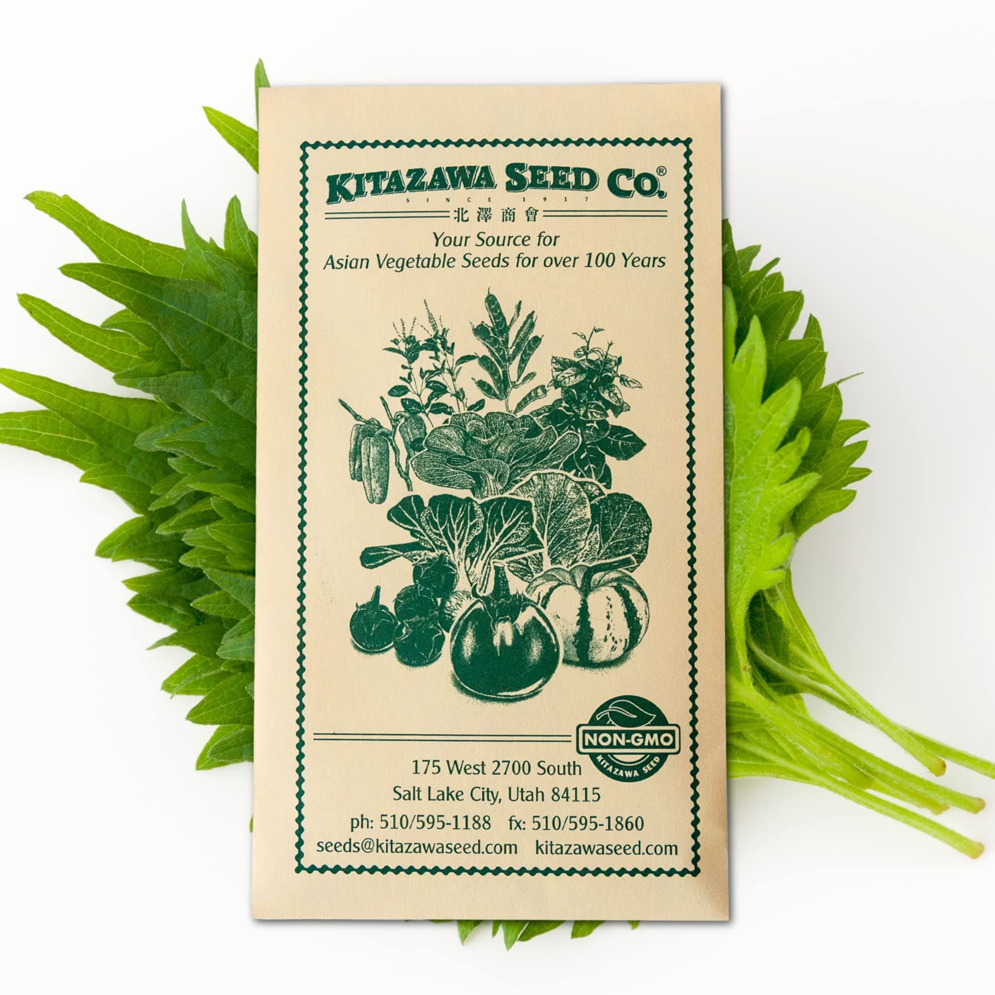 Kitazawa Seed Company Korean Perilla - 2.0 Grams