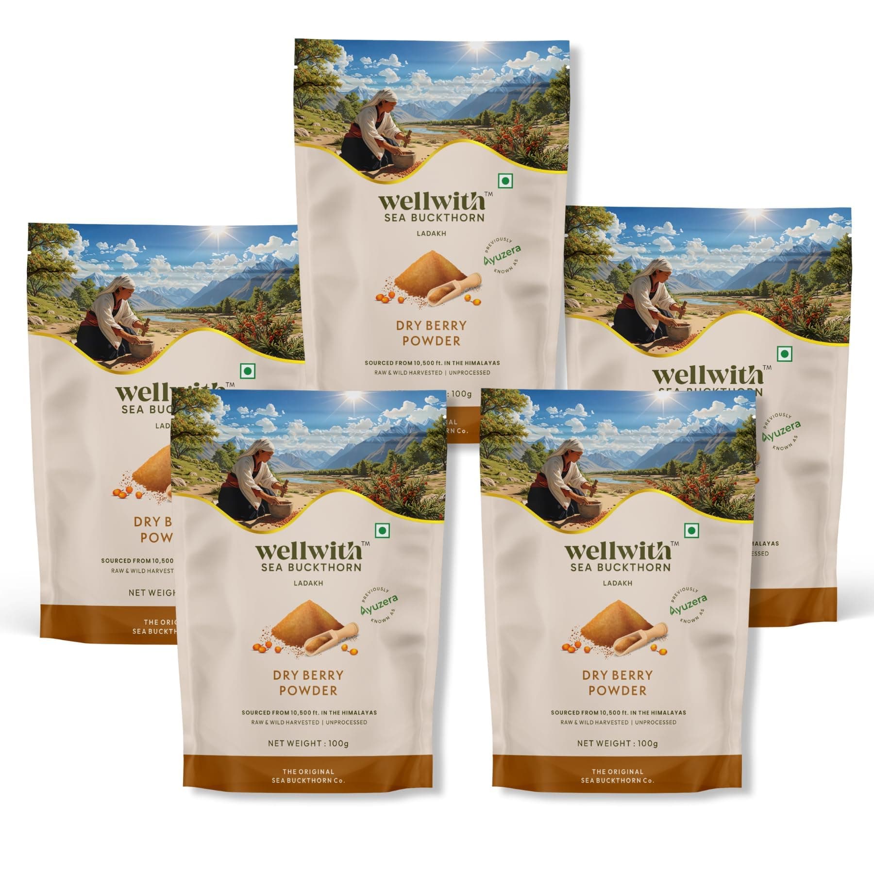 Wellwith by Ayuzera Himalayan Sea Buckthorn Berries Powder | Rich in Omega 3, 6, 7, 9 | Collagen, Fiber, Omegas, Vitamin C, Vitamin E | Dry Sea Buckthorn Berry Powder (500, Grams)