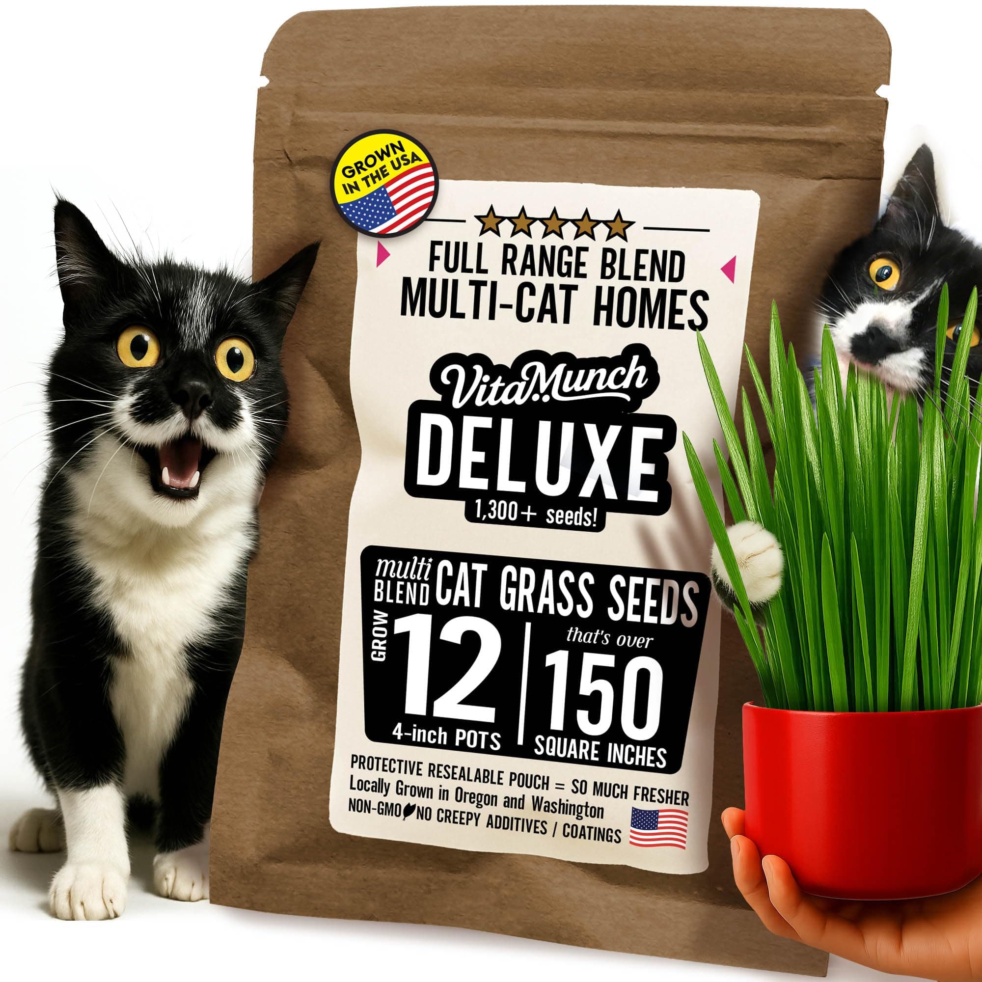 Cat Grass Seed Deluxe Non-GMO Blend Cats Love + Grows 12 Pots (Over 150 Sq in) Ready in 5 Days + Full Range of Tastes/Textures That More Cats Will Love for Indoor Cats –1300+ Seeds