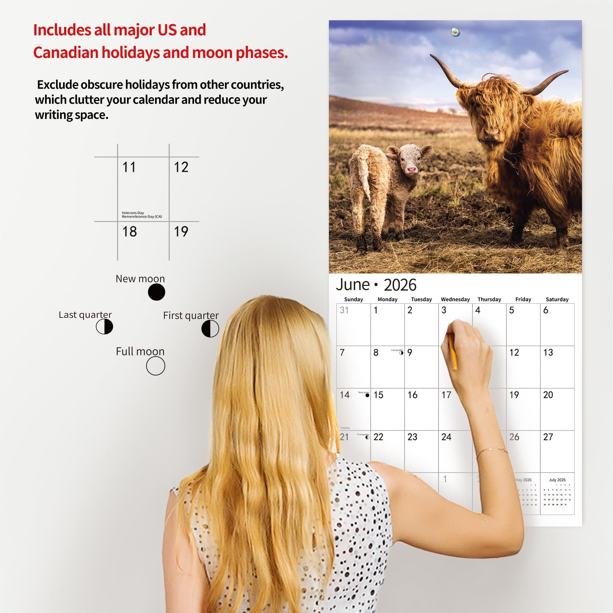 2024 2025 Wall Calendar,Calendar 2025, November 2024 - December 2025, Wall Calendar Highland Cattle, 12" x 24" Opened,Full Page Months Thick & Sturdy Paper for Gift Kids Teen Calendar Organizing &