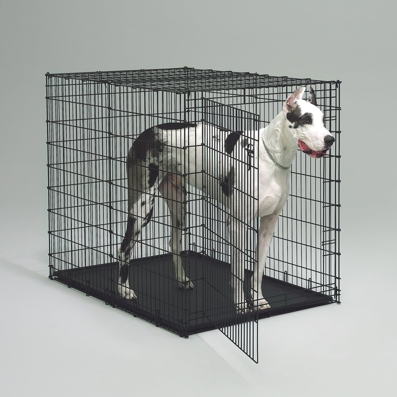 Pet Kennels Midwest Homes for Pets Solutions Series Colossal Pet Crate