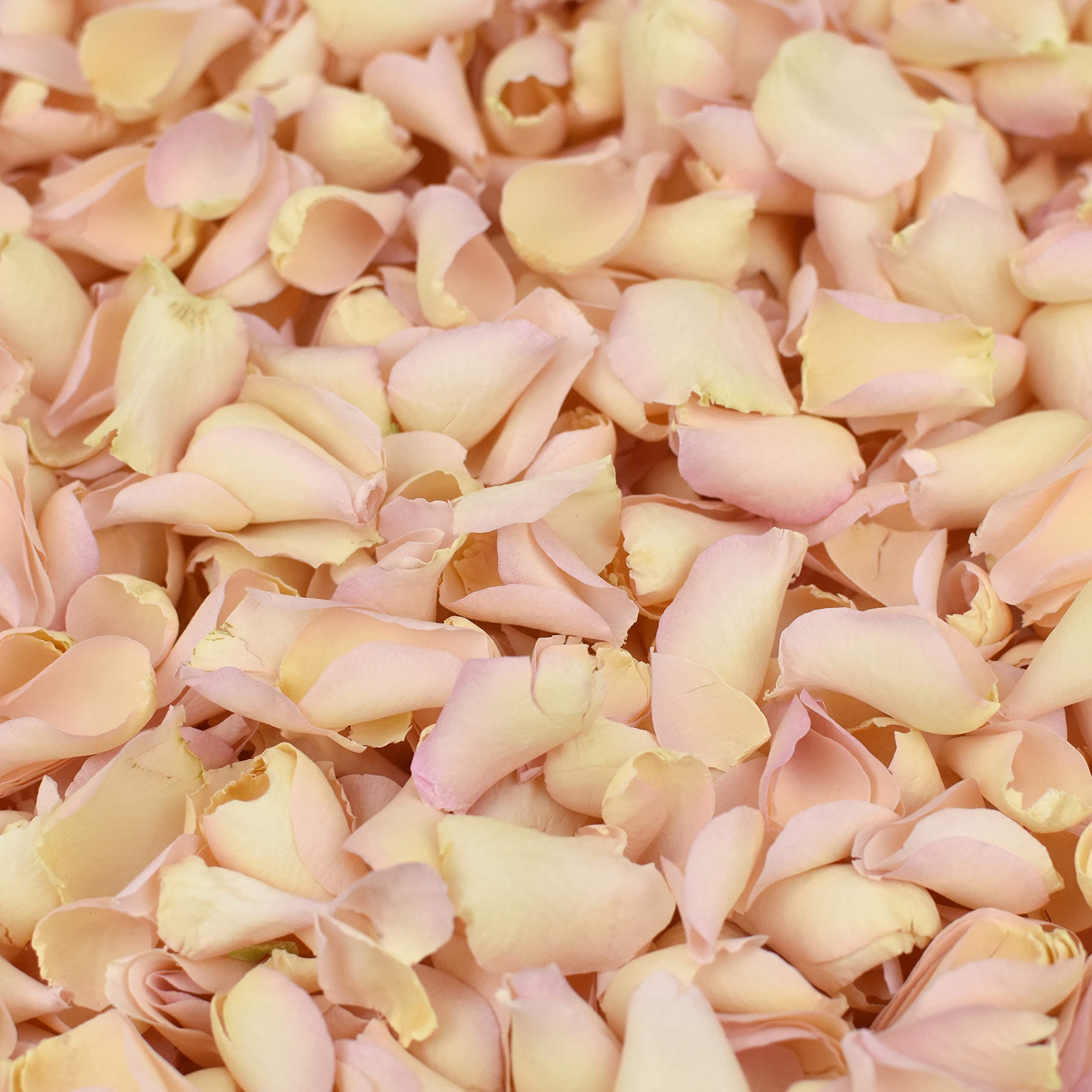Sponsored Ad – Freeze Dried Rose Petal Confetti | Natural & Biodegradable for Weddings, Palest Pink, 2 Litres