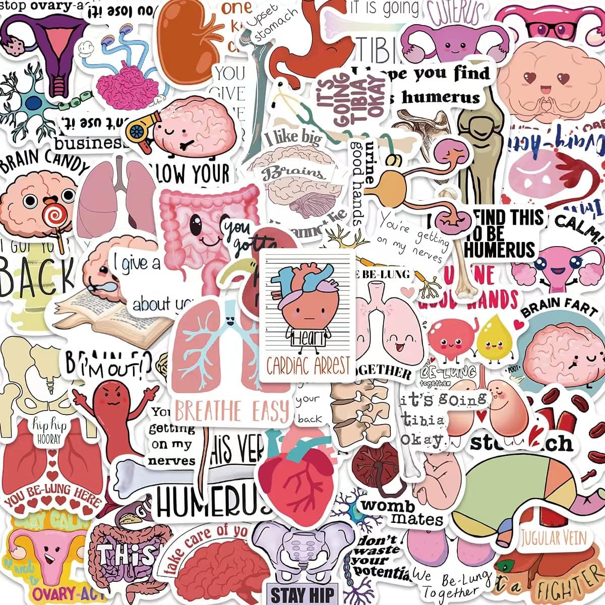 Anatomy Pun Stickers,Funny Anatomy Stickers,Water Bottle Laptop Scrapbooking Decals(50 Pack)