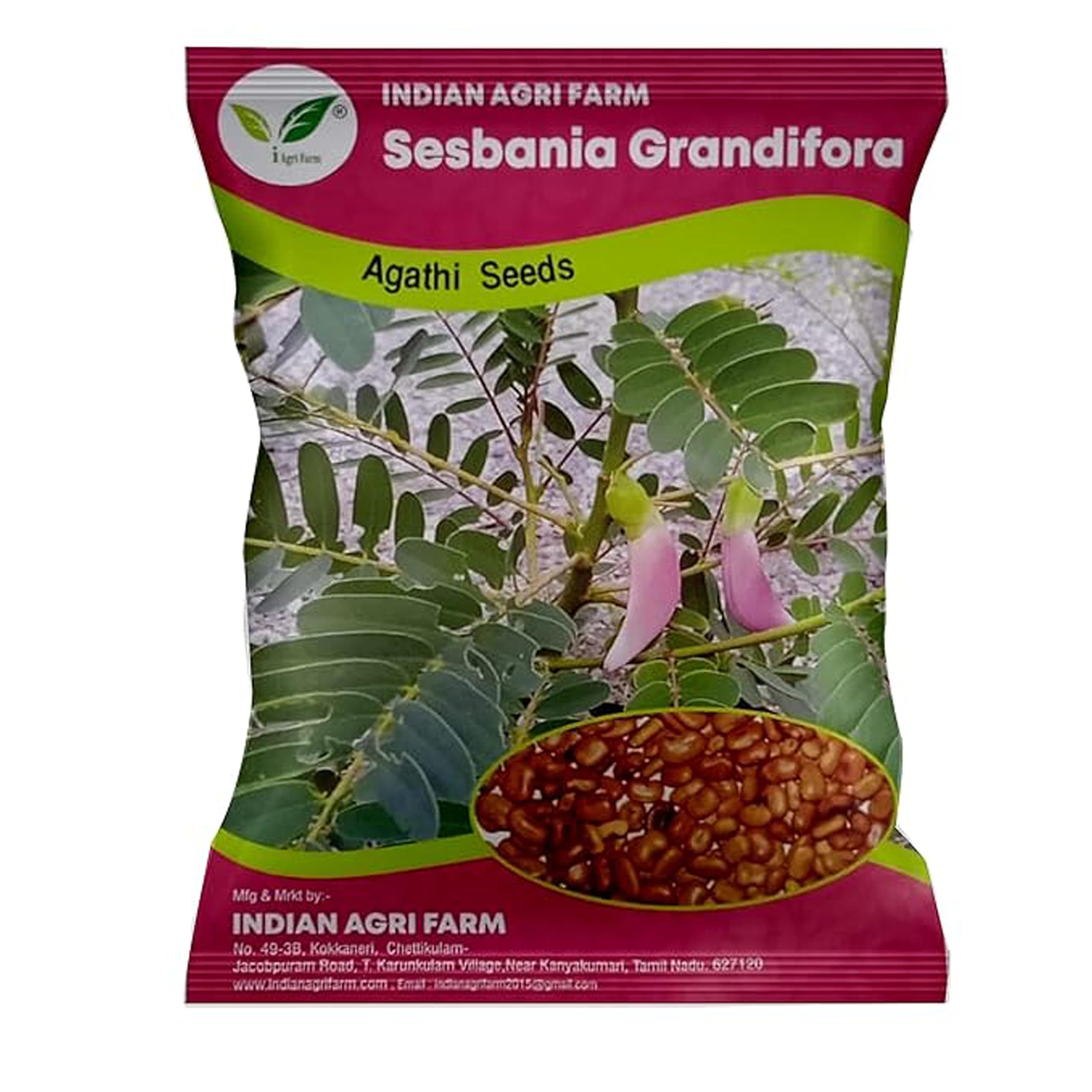 Sesbania/Agathi Seed: