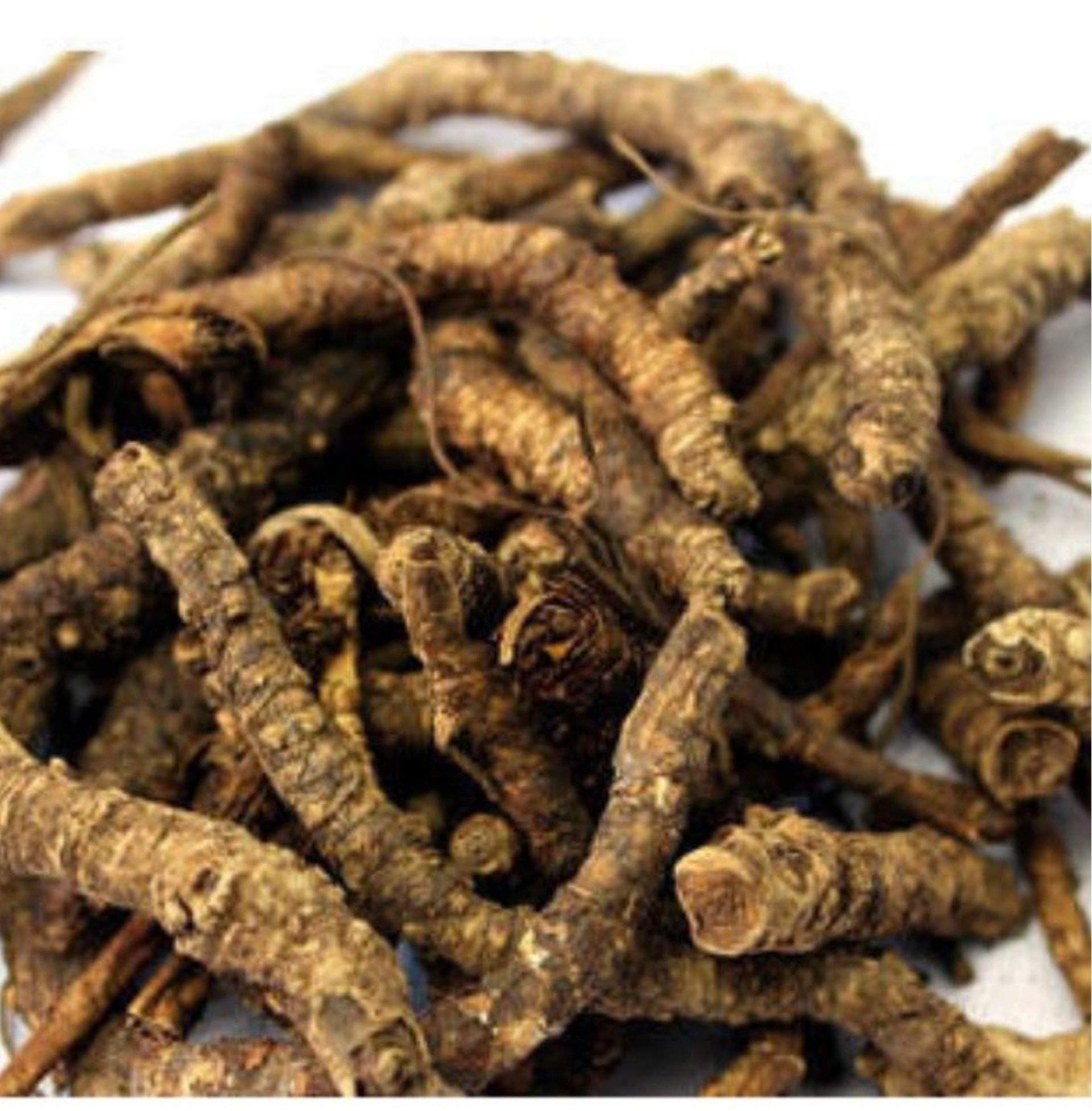 Divesh Store Kutki 100Grm - Picroriza Kurroa - Hellabore - Katukarogani Root - Kadu - Katuka - कडू - कुटकी