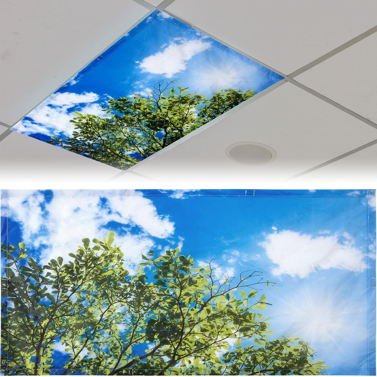 Patelai 4 x 2 Feet Fluorescent Light Cover for Ceiling Classroom Magnetic Cub...