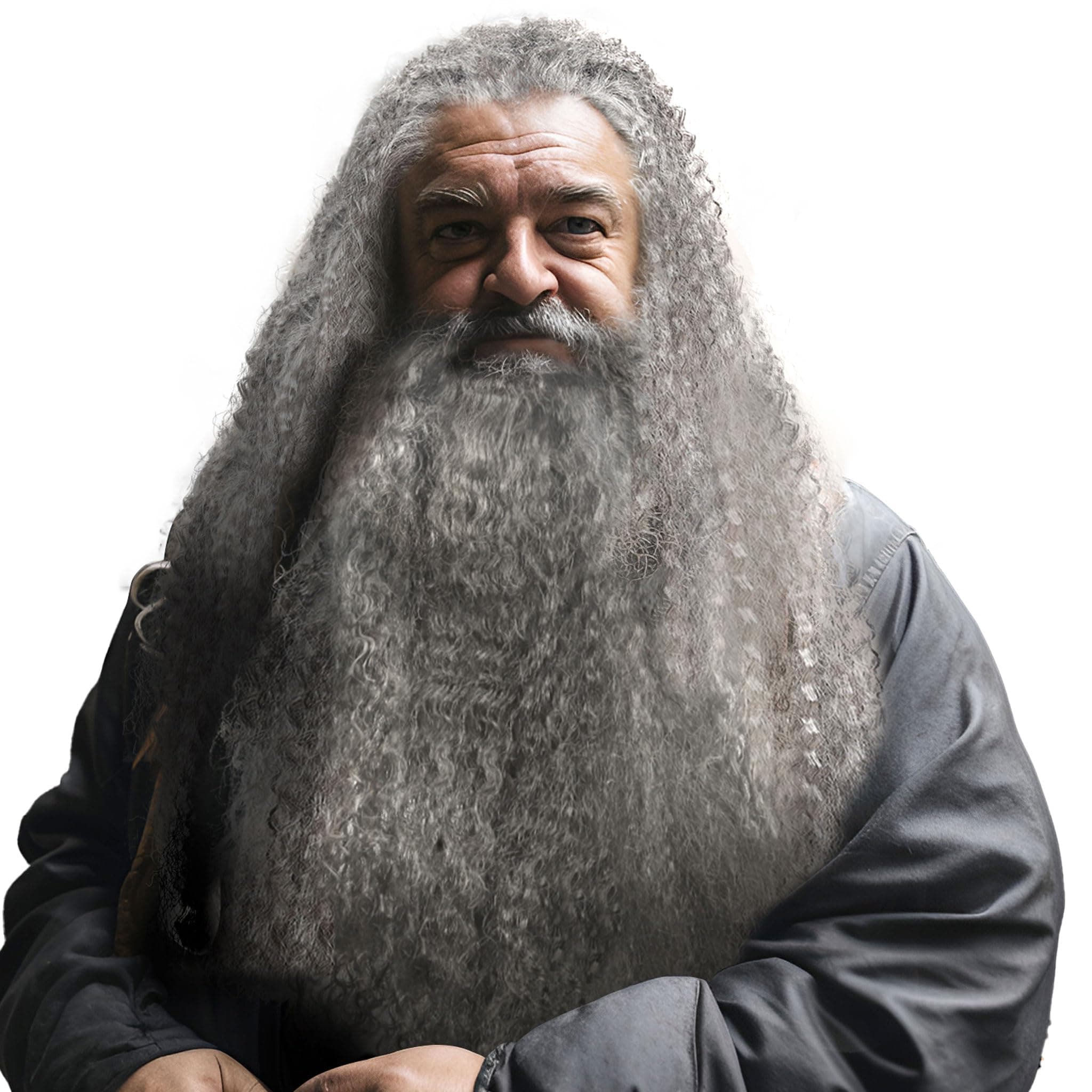 Grey Wizard Beard And Wig