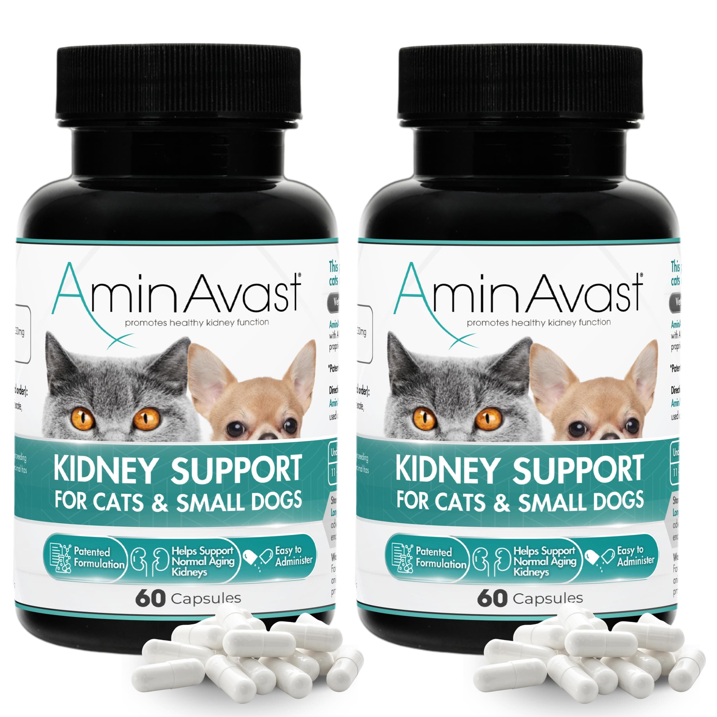 AminAvast Kidney Support Supplement for Cats and Small Dogs, 300mg 2-Pack - Promotes Natural Kidney Function - Aids in Health and Vitality of Aging Kidneys - Easily Administered - 60 Sprinkle Capsules