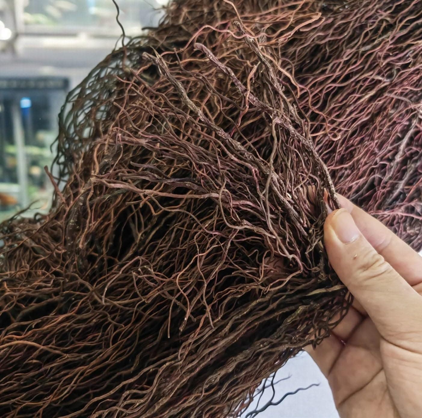 160g Aquarium Driftwood Roots - Bushy Tank Wood for aquascaping -Perfect for Fry, Shrimp or Terrarium,Natural Wood Roots for Aquarium aquascaping