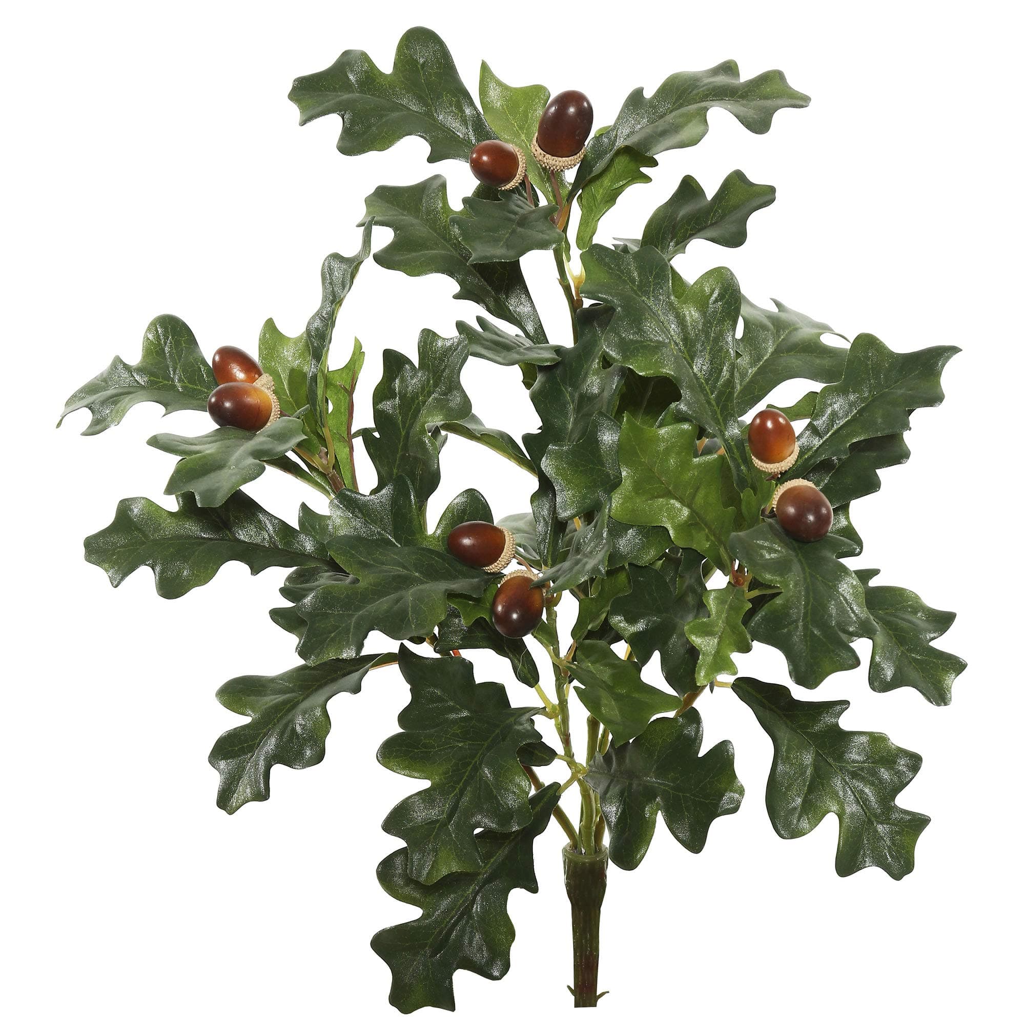 Vickerman18" Artificial Green Oak Spray. Add Texture and Depth to Your Arrangement with This Oak Spray, Featuring 8 Branches with 60 Leaves. Includes 3 Sprays per Pack. Recommended for Indoor Use.