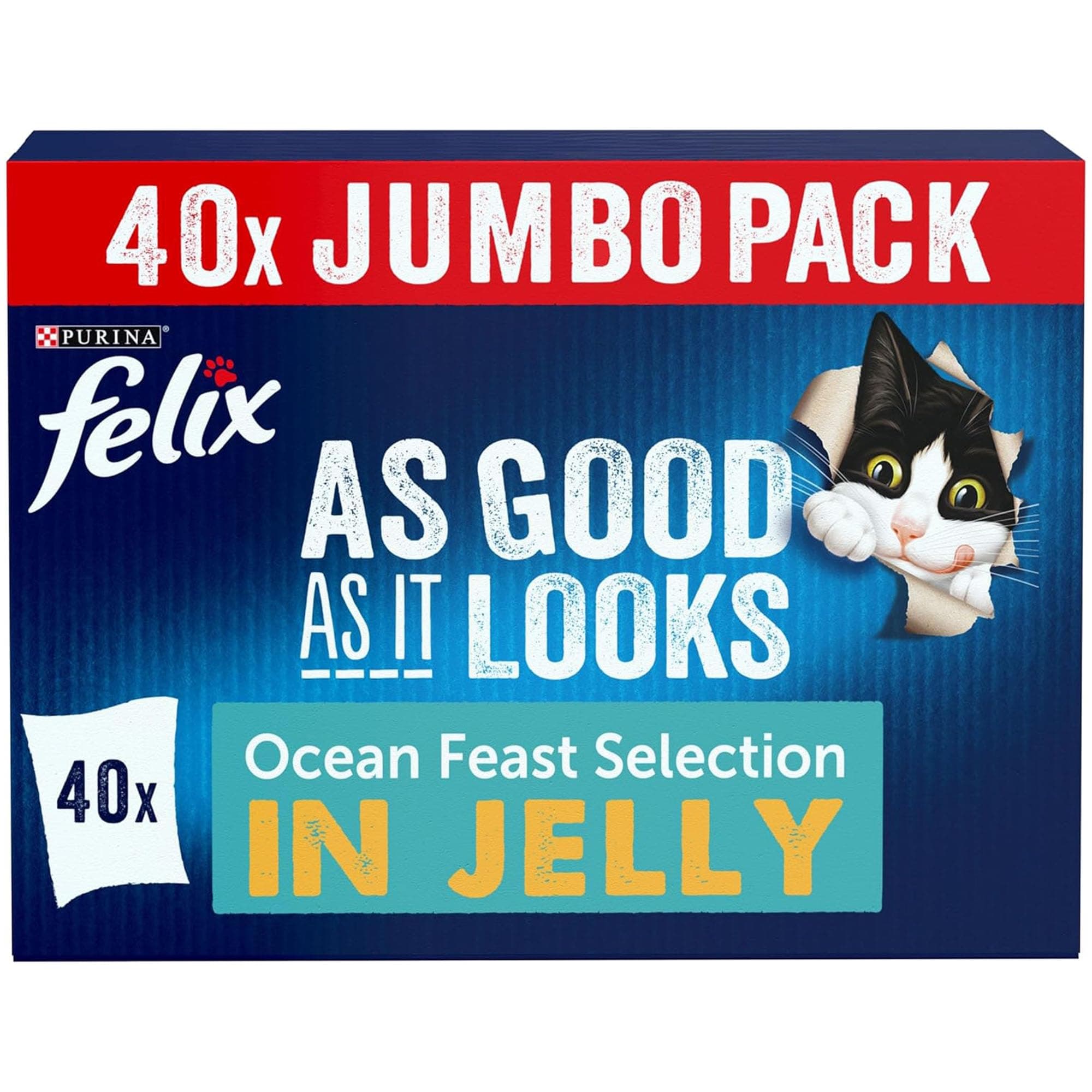 As Good As it Looks Ocean Feasts Wet Cat Food 40x85g