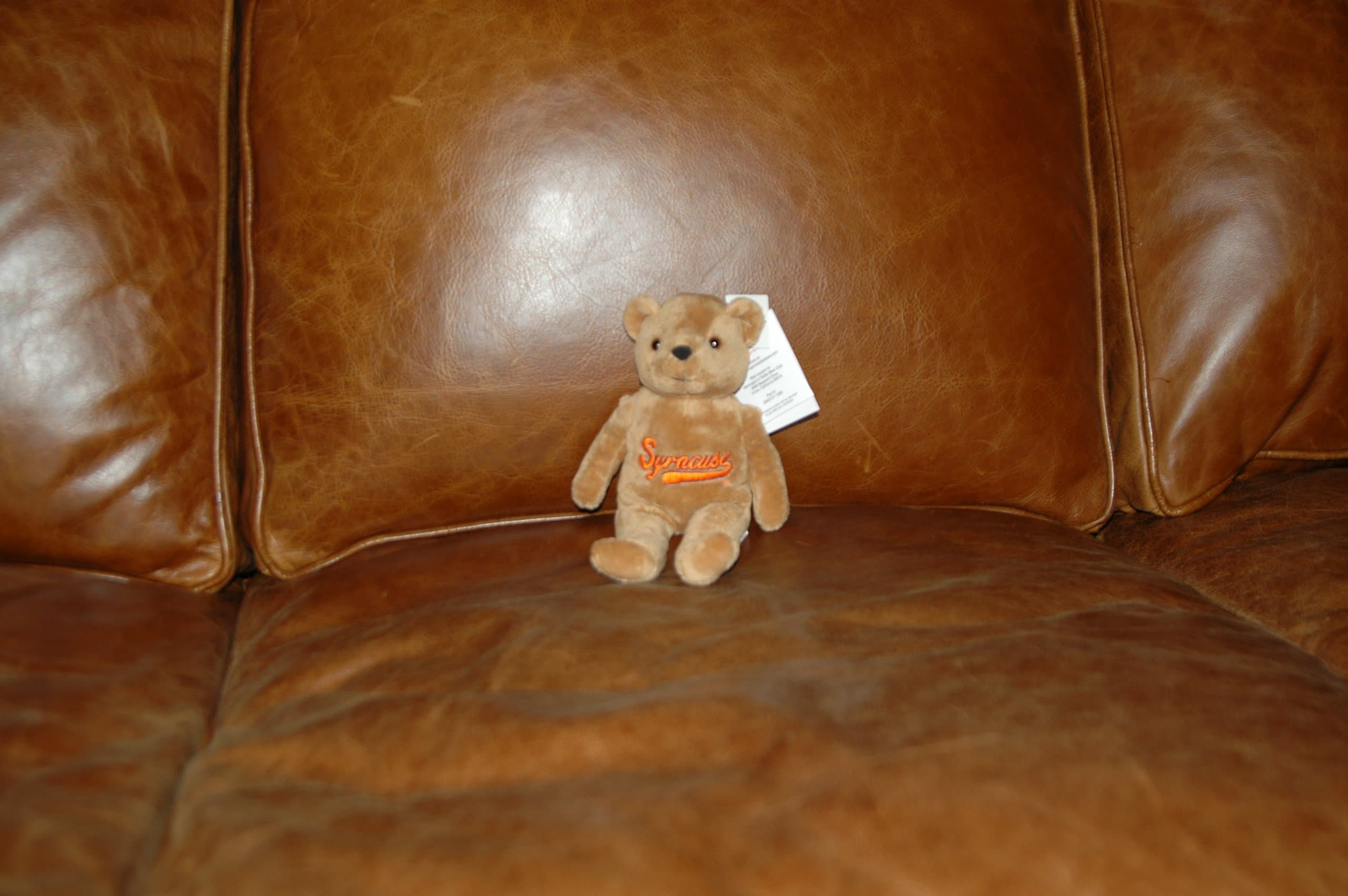 Syracuse Orange 8'' Honey Bean Bear