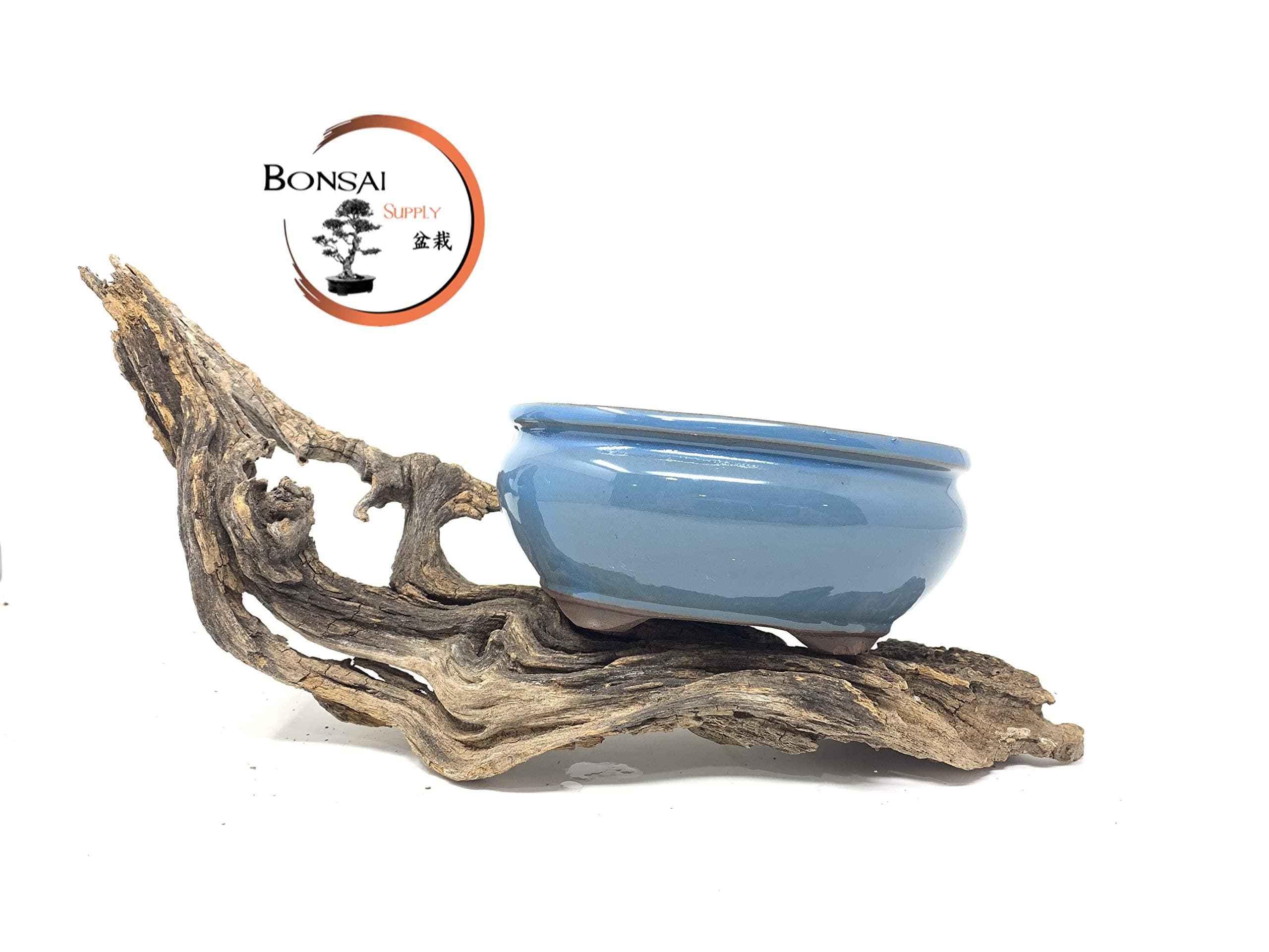 6" Glazed and Unglazed Bonsai Tree Pots by The Bonsai Supply (True Blue)