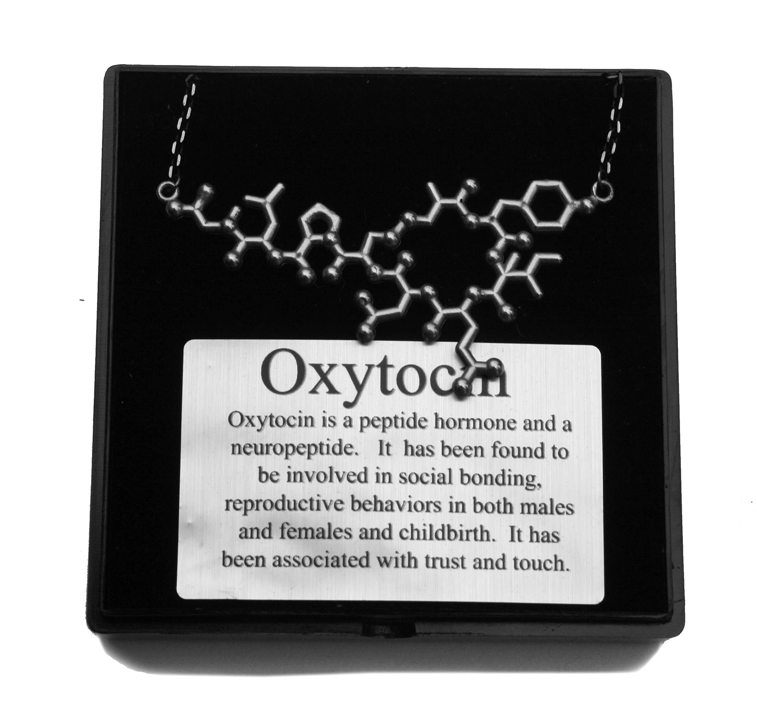 Anatomology Oxytocin Molecule Necklace (antique silver)