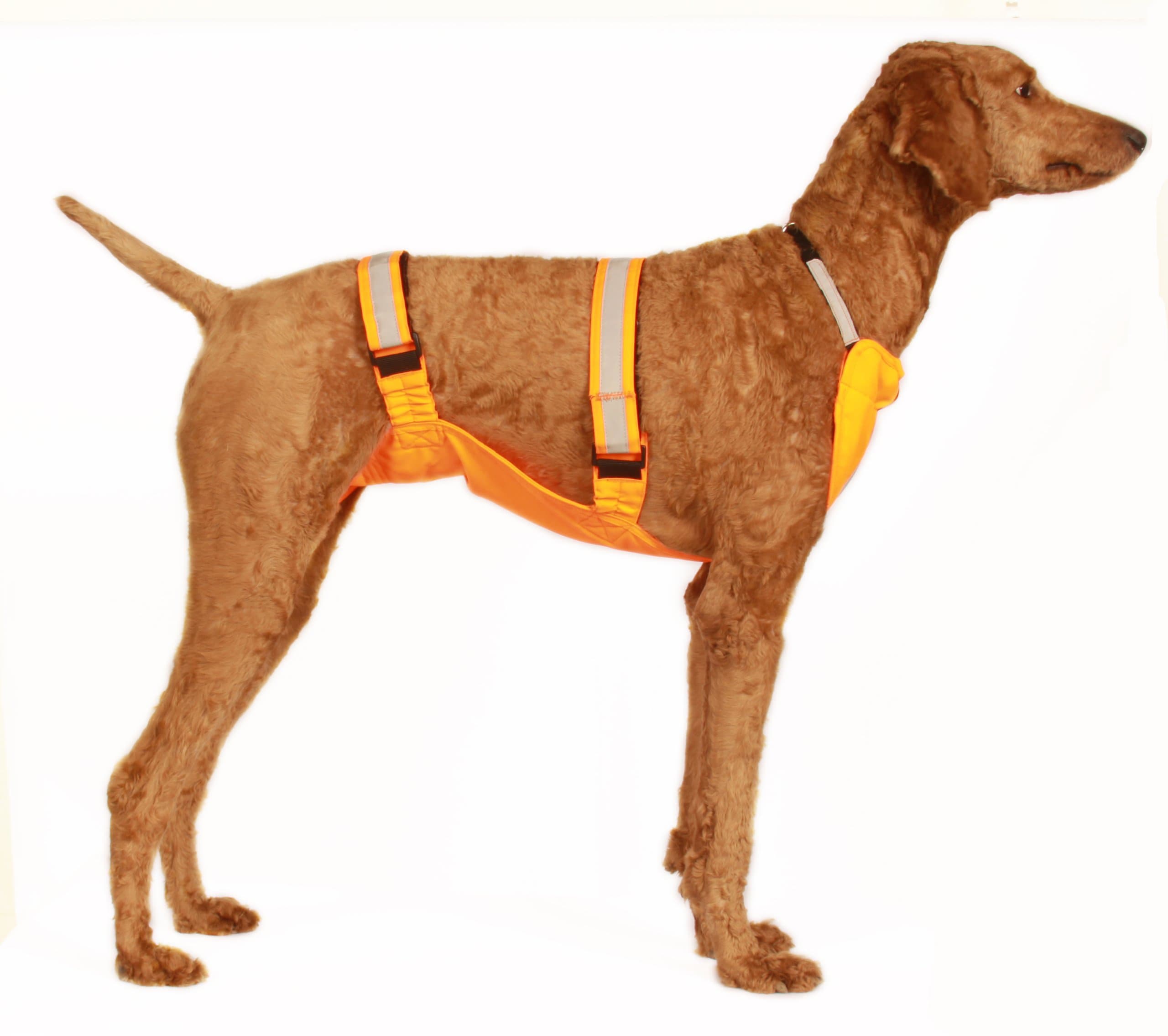 SportShield 15 by 19-Inch Large Pet Hunting Hiking Underbelly Walking Vest, 45 to 60-Pound, Bright Orange