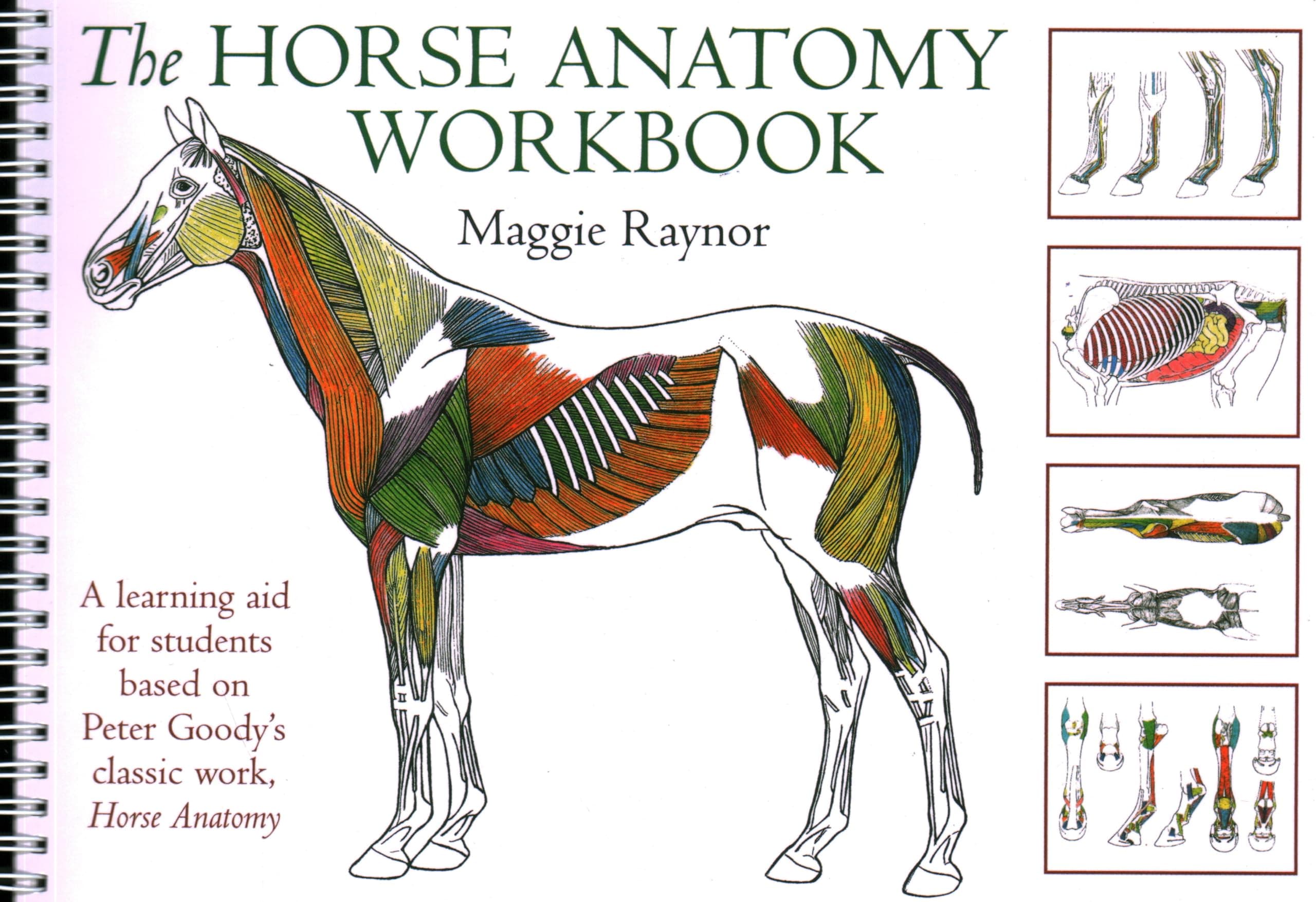 Horse Anatomy Workbook: A Learning Aid for Students Based on Peter Goody's Classic Work, Horse Anatomy (Allen Student)