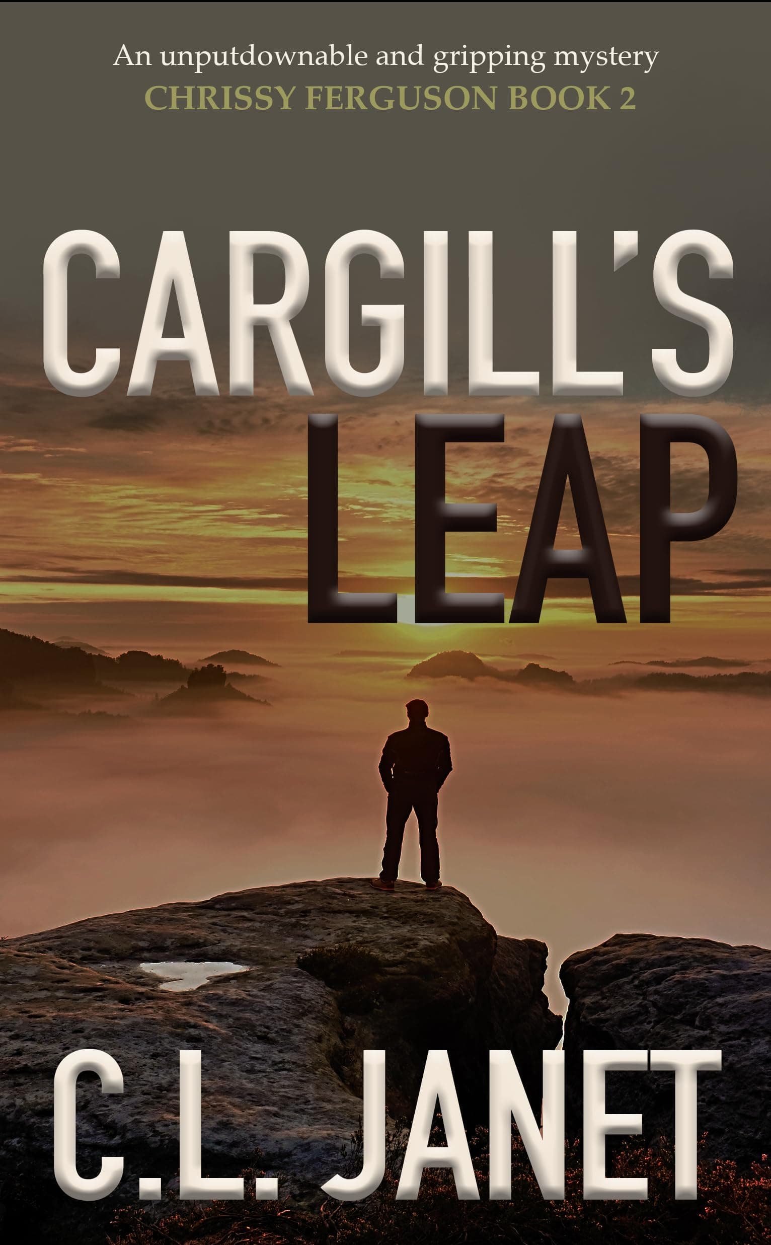 CARGILL'S LEAP: A compelling and twist-filled mystery (CHRISSY FERGUSON BOOK 2) (CHRISSY FERGUSON MYSTERIES)
