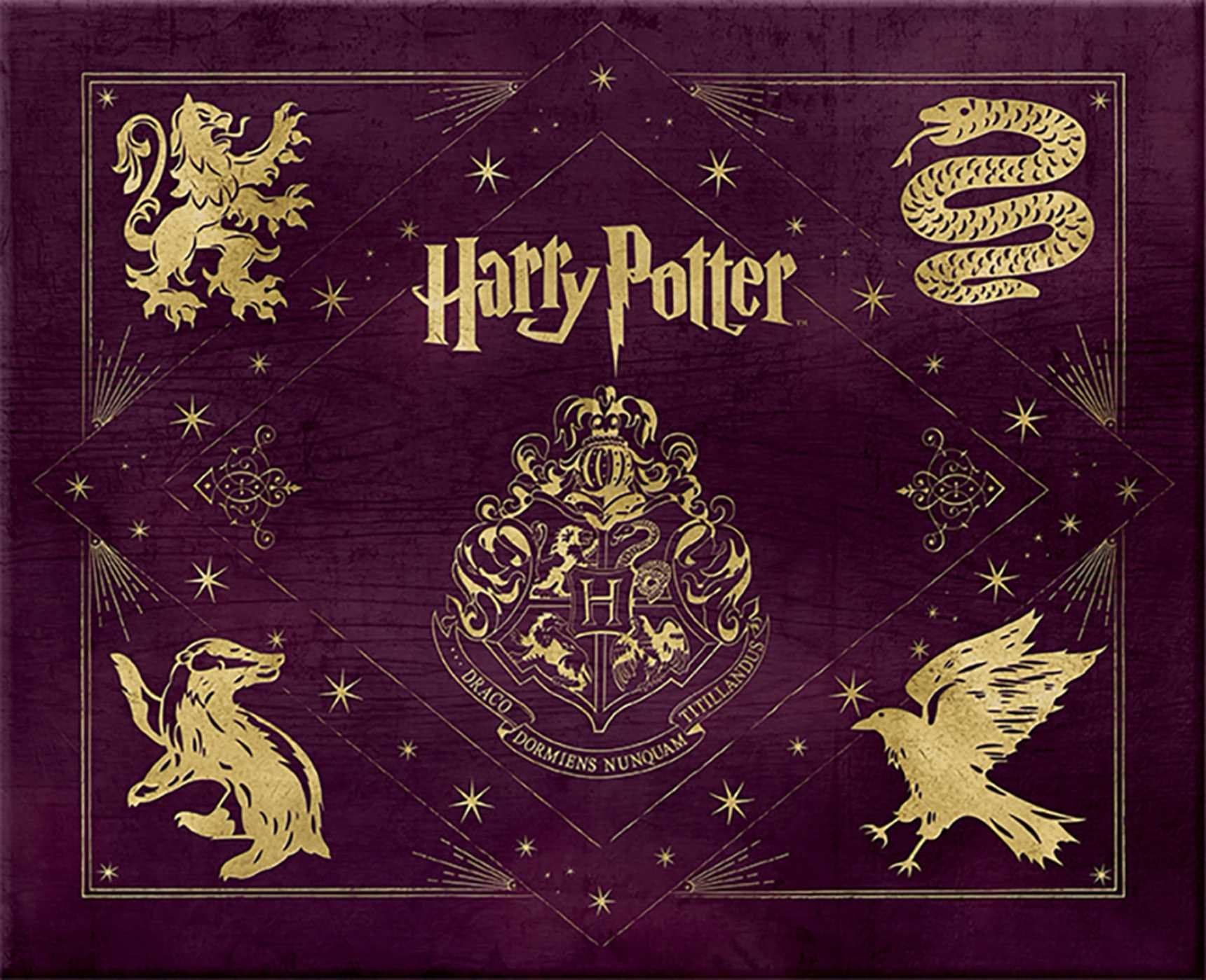 Harry Potter Hogwarts Deluxe Stationery Kit (Insights Deluxe Stationery Sets) Hardcover – 19 Nov. 2015