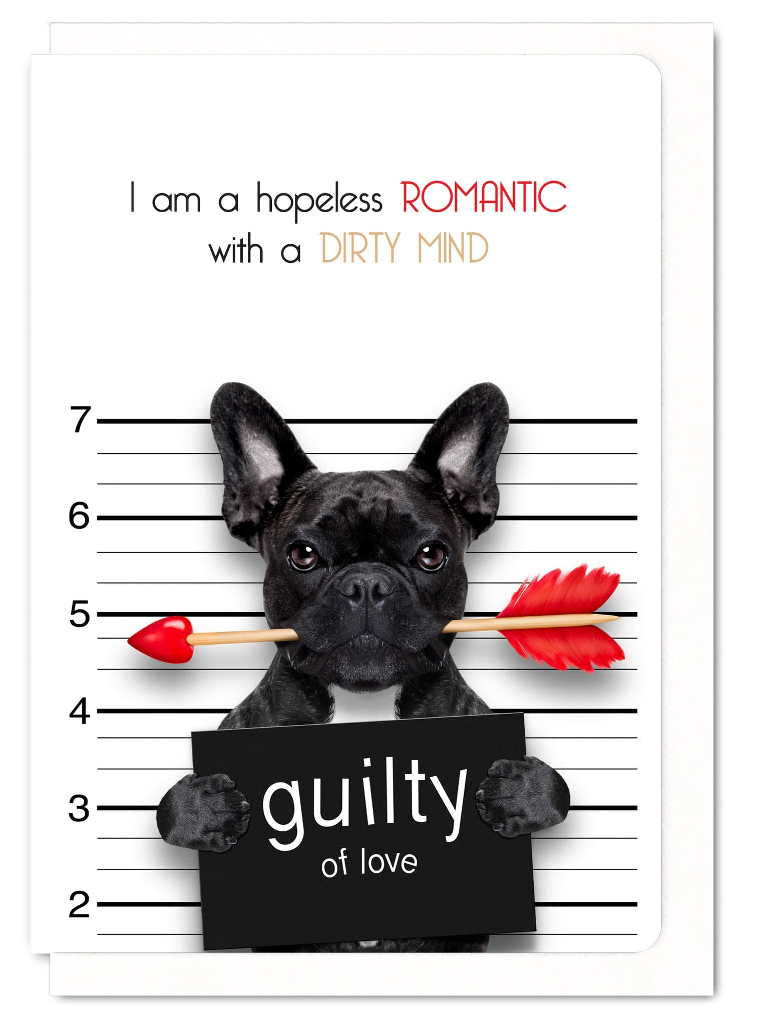Funny Animal"Hopeless Romantic" Love Greeting Card