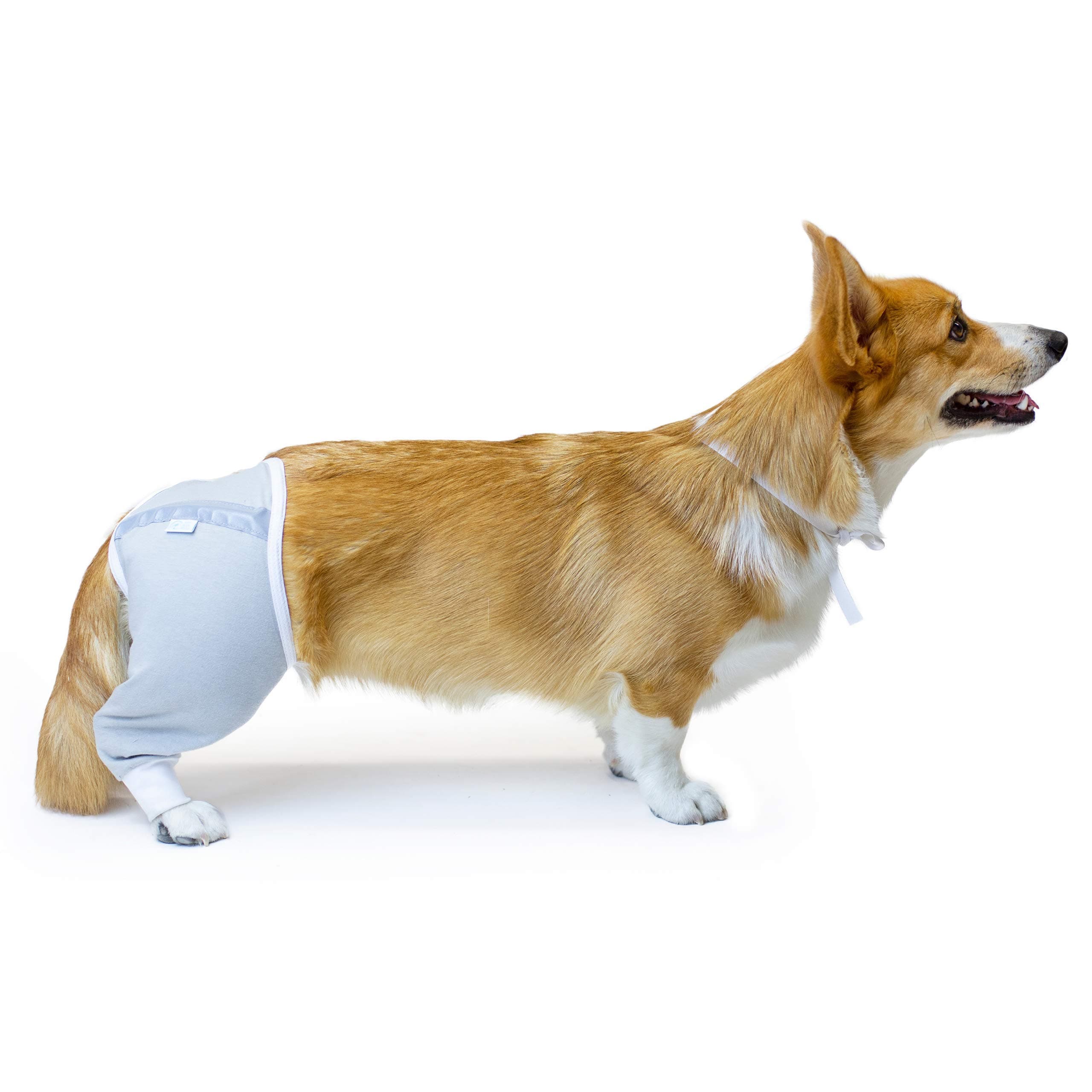 Hip and Thigh Wound Protective Sleeve for Dogs. Dog Recovery Sleeve. Recommended by Vets Worldwide (X-Small - Short Sleeve, Gray)