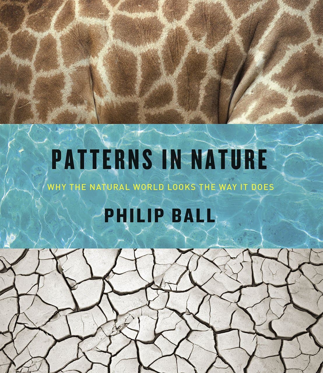 Patterns in Nature - Why the Natural World Looks the Way It Does