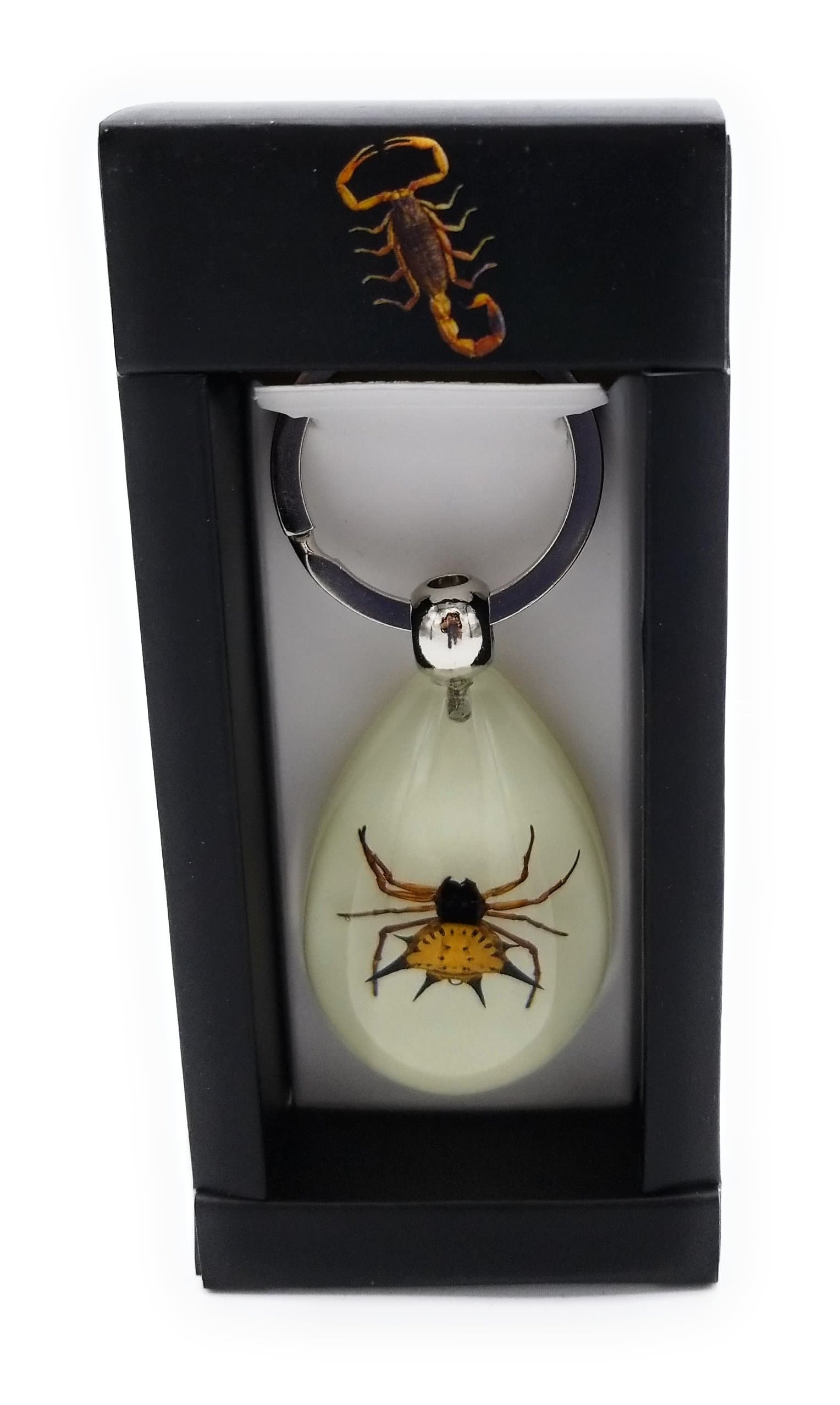 Spiny Spider Key Ring - Glow in the Dark